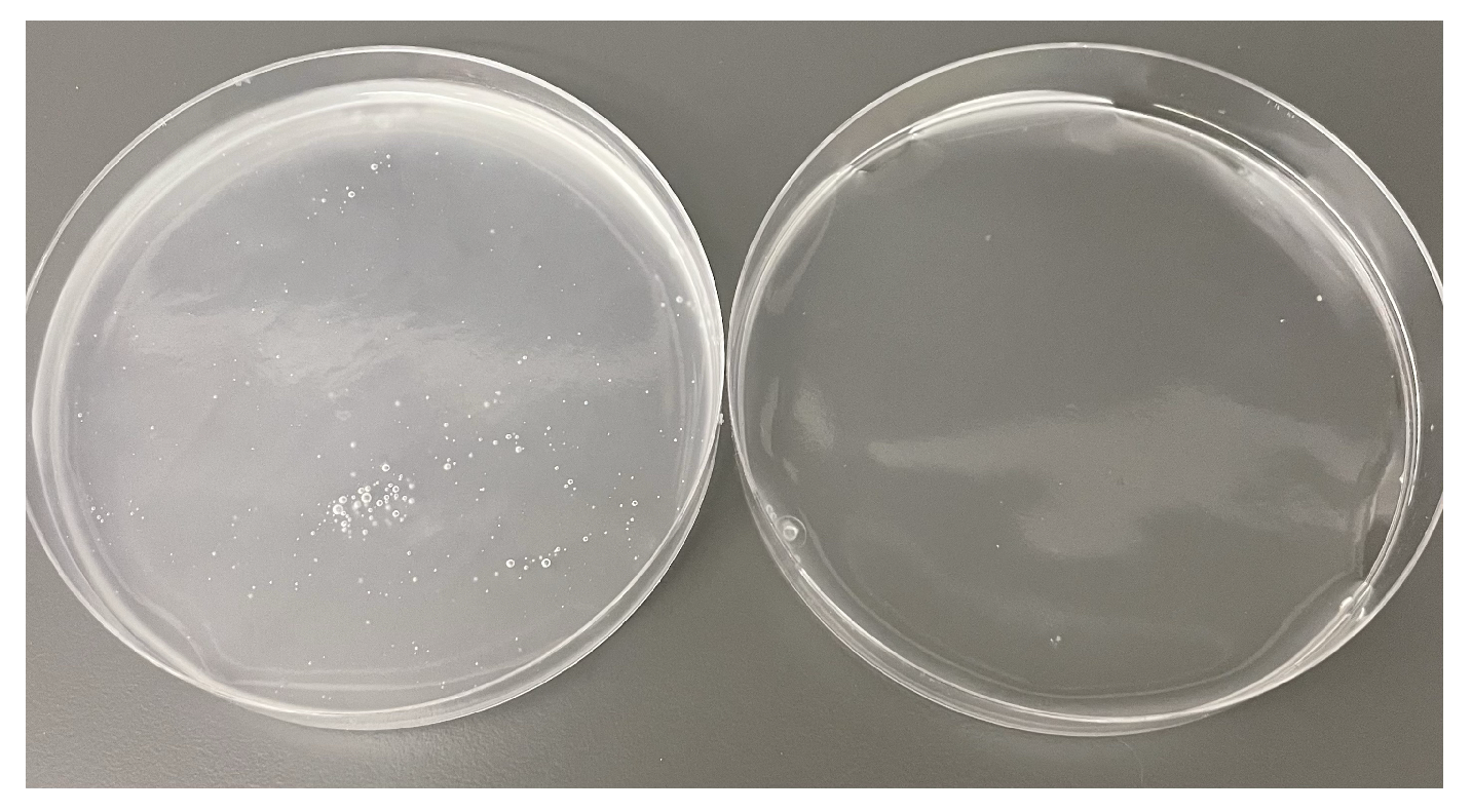 Materials 17 05345 g006