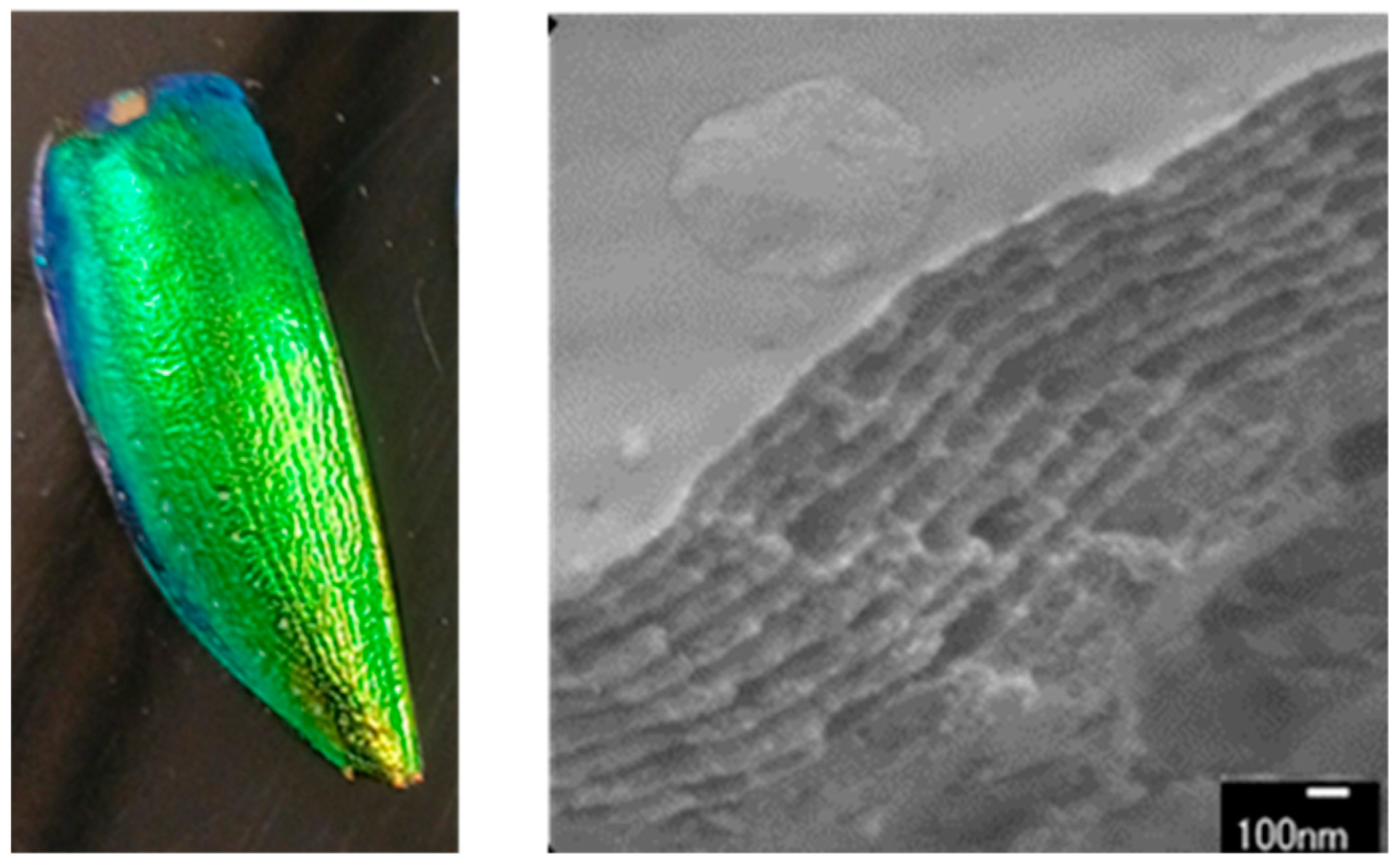 Materials 17 05357 g001