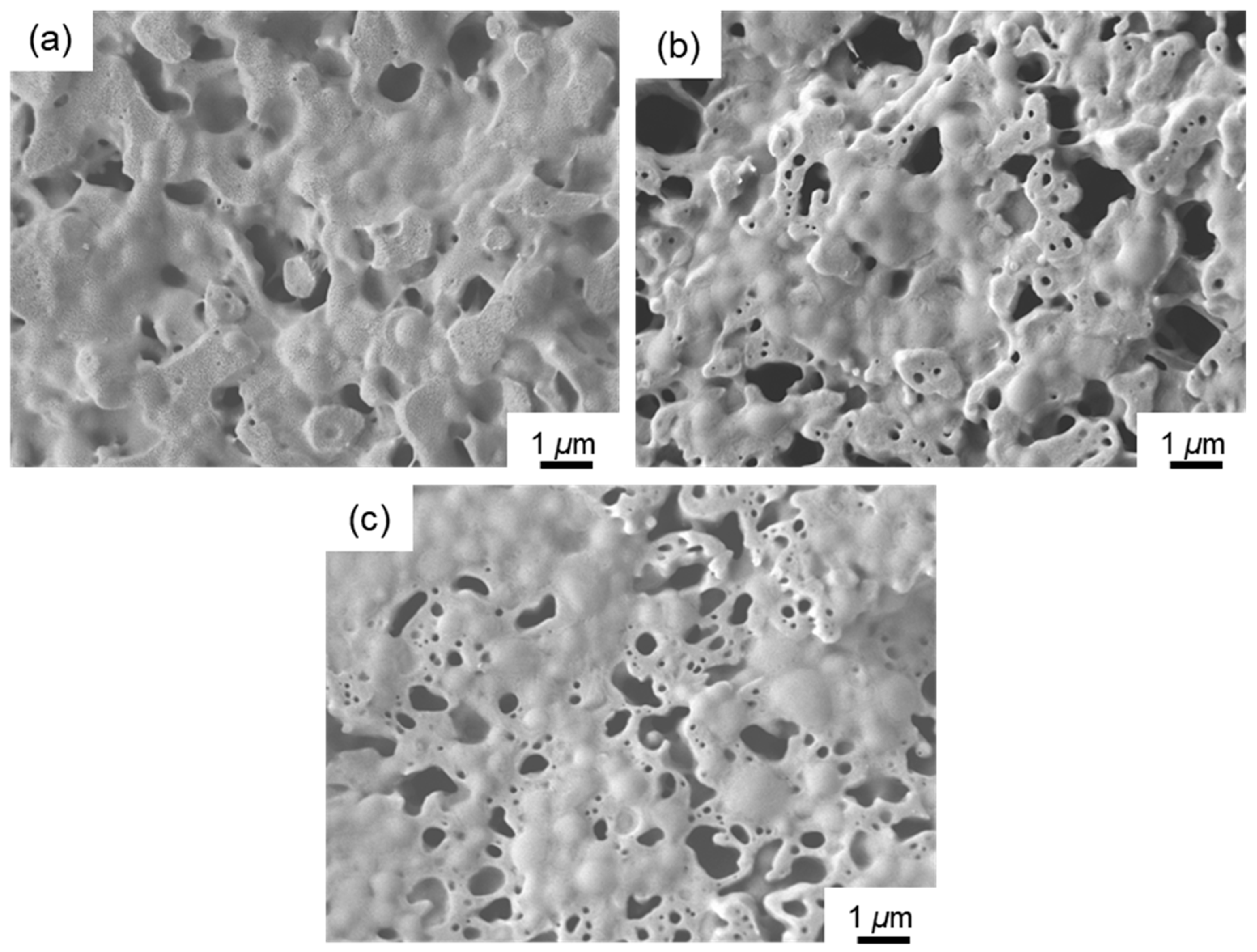 Materials 17 05370 g006