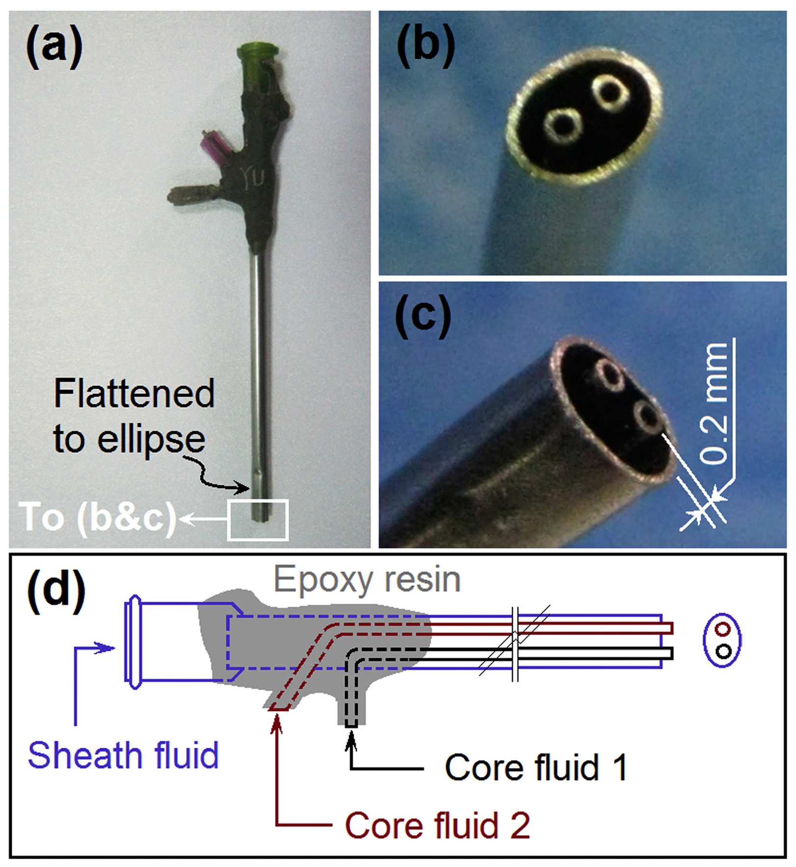 Materials 17 05379 g003