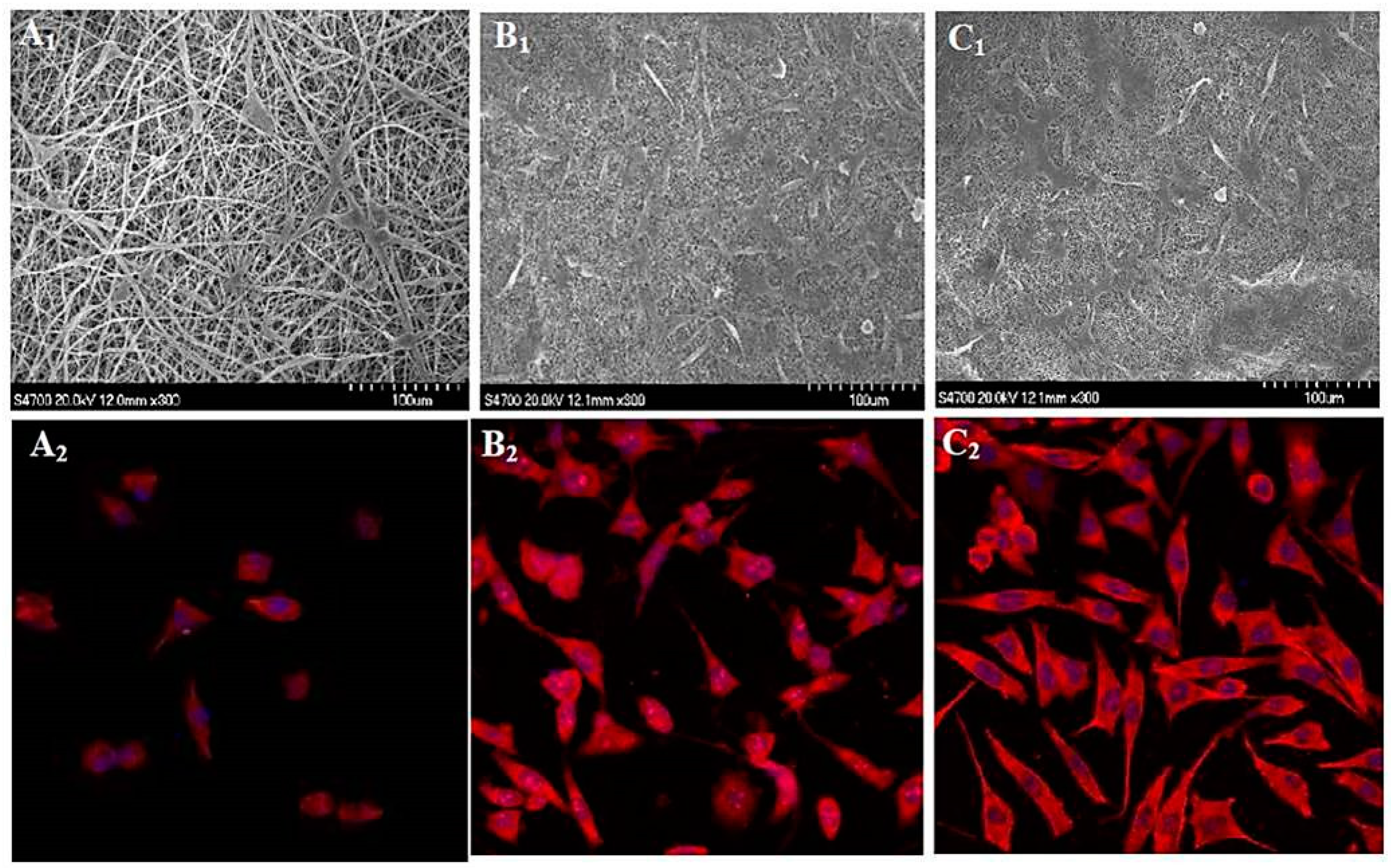 Materials 17 05379 g011