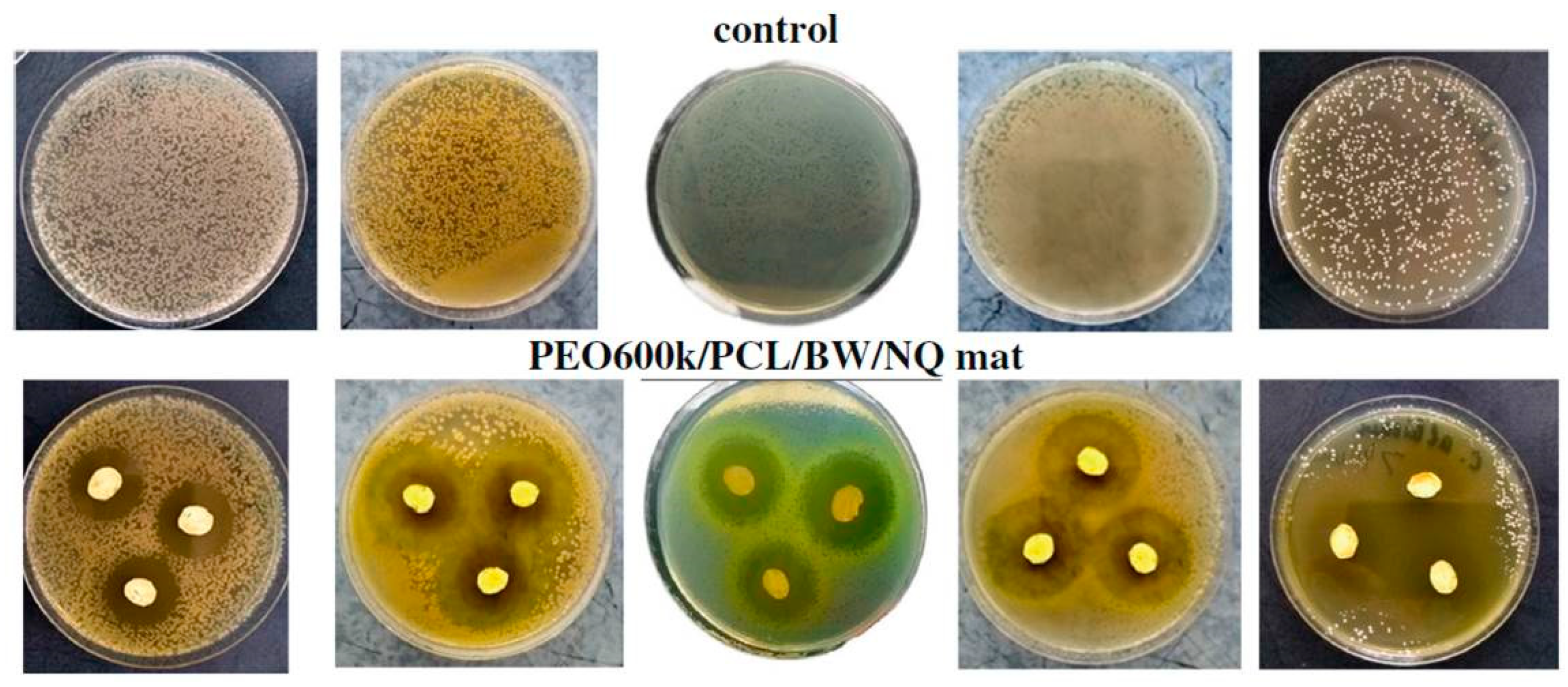 Materials 17 05379 g012