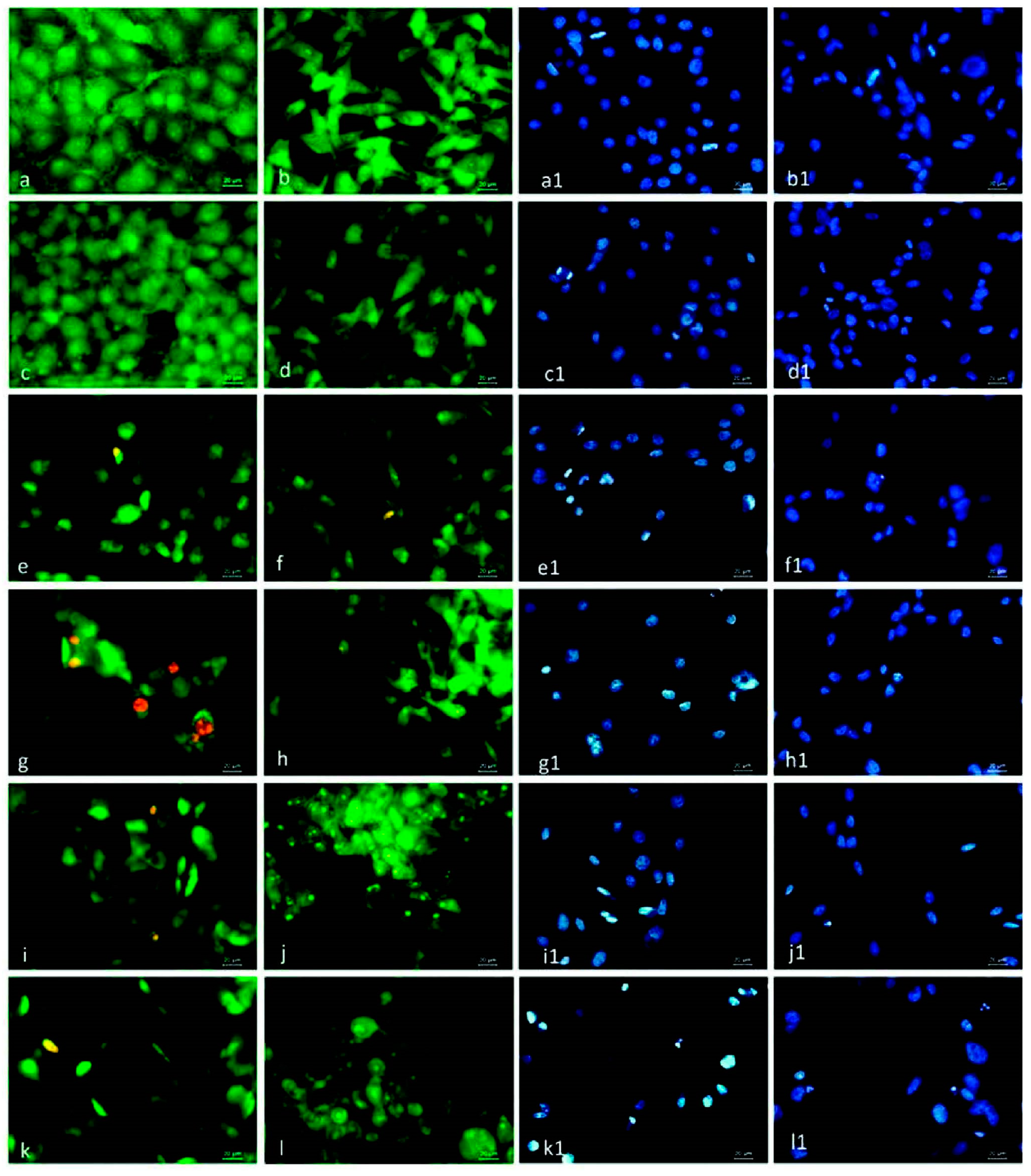 Materials 17 05379 g013