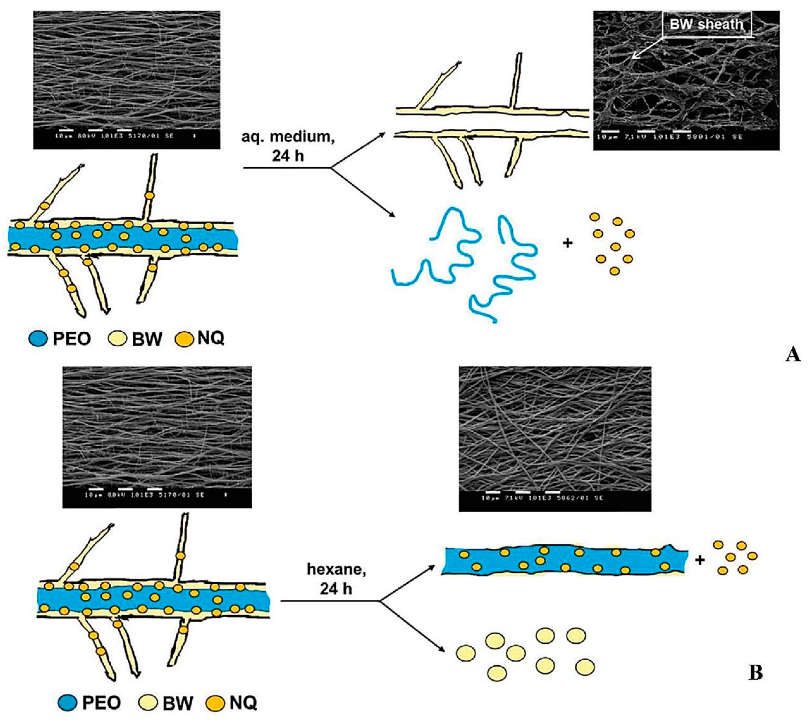 Materials 17 05379 sch004