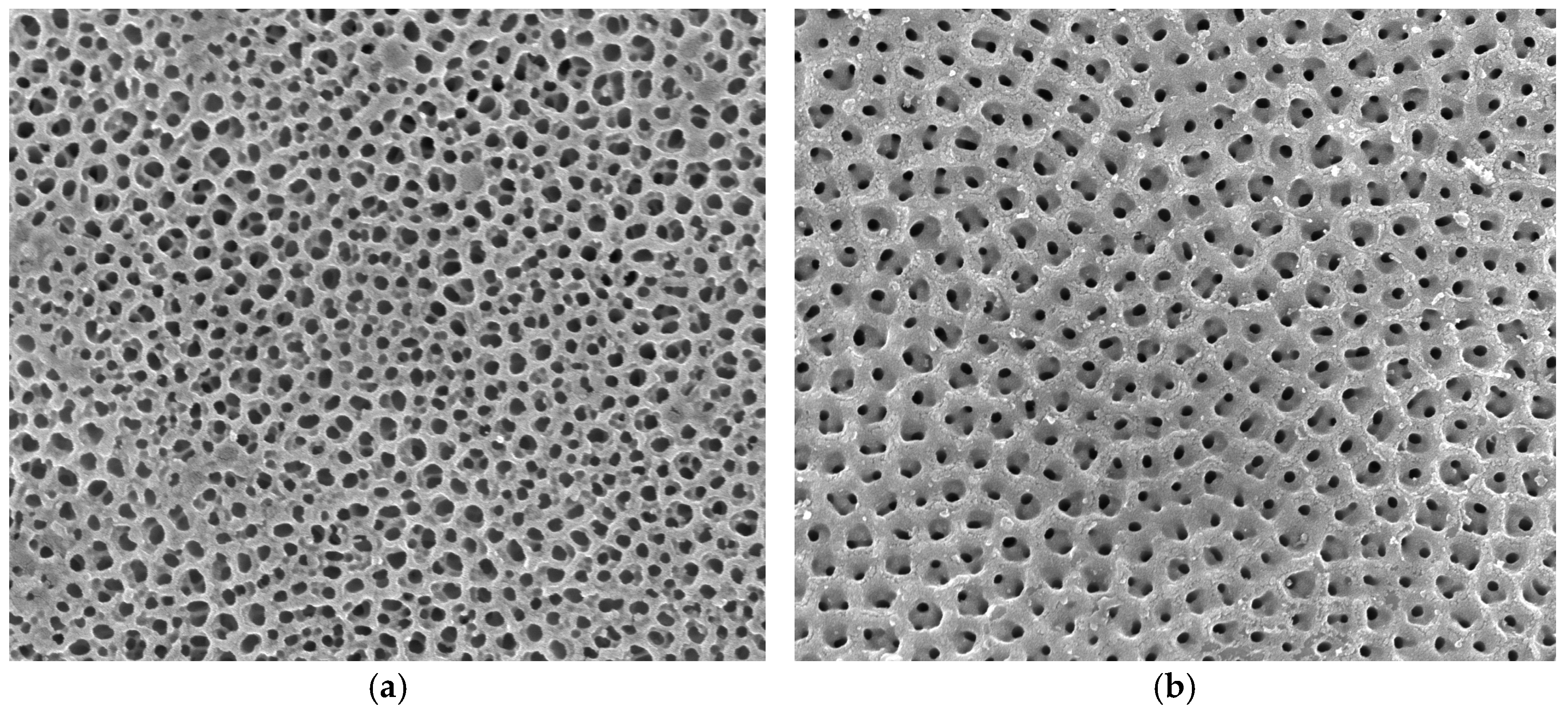 Materials 17 05392 g001