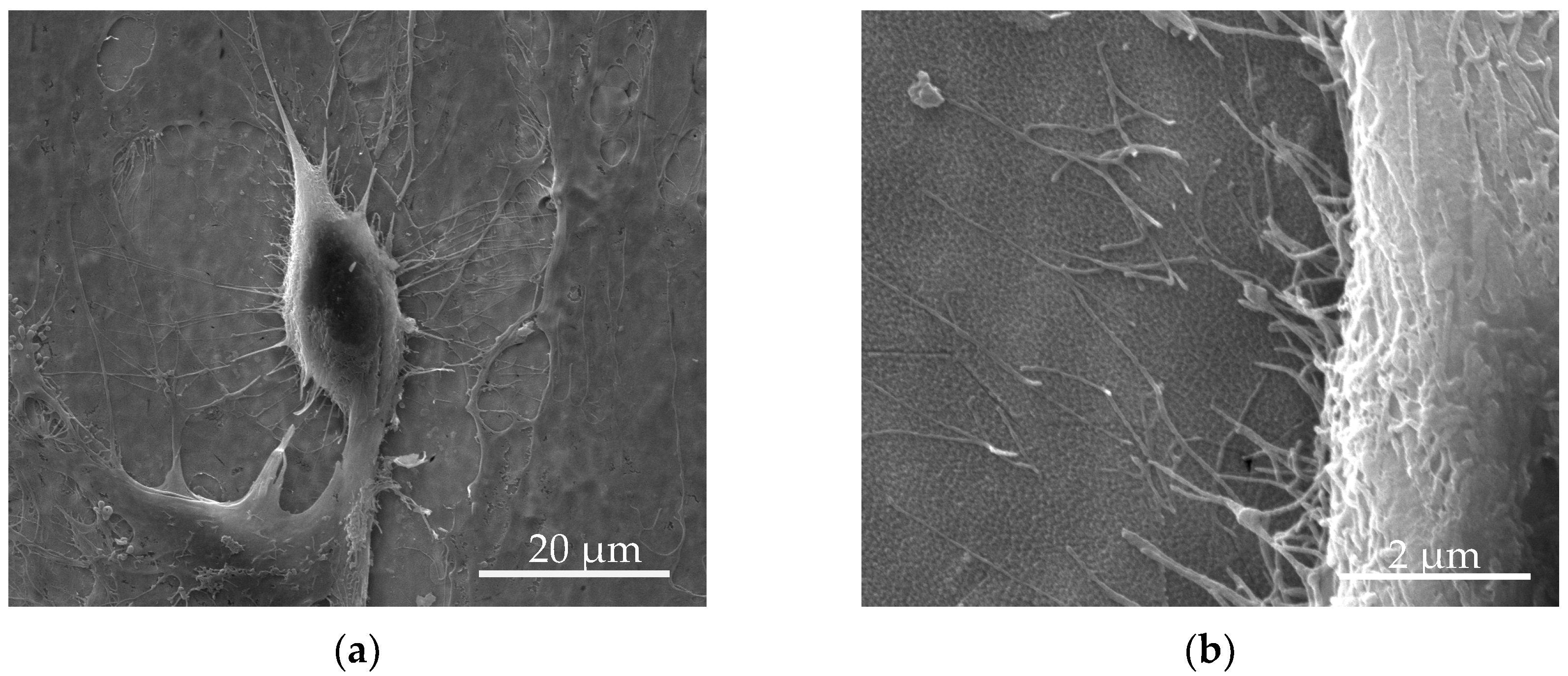 Materials 17 05392 g003