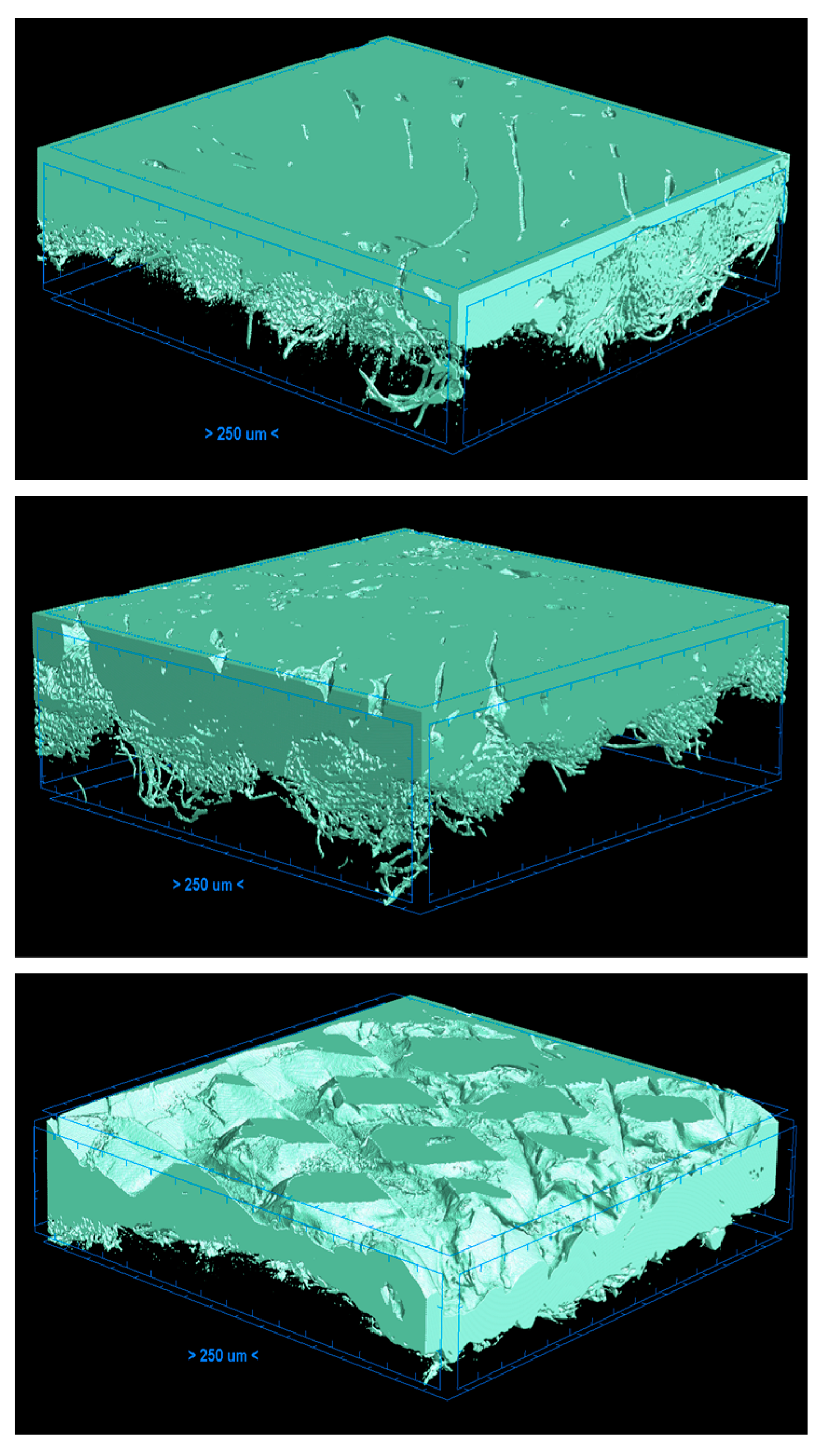 Materials 17 05404 g006