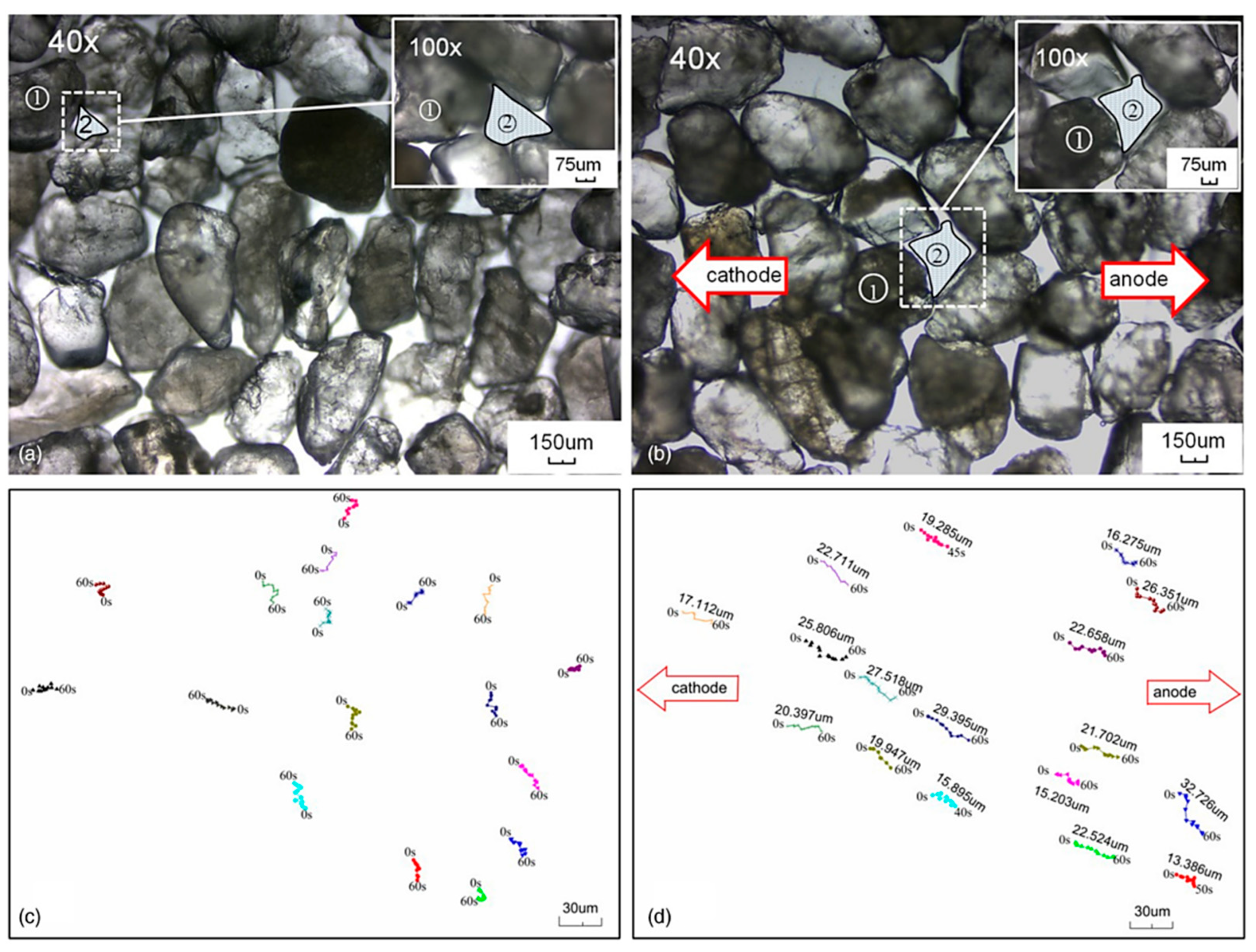 Materials 17 05420 g005