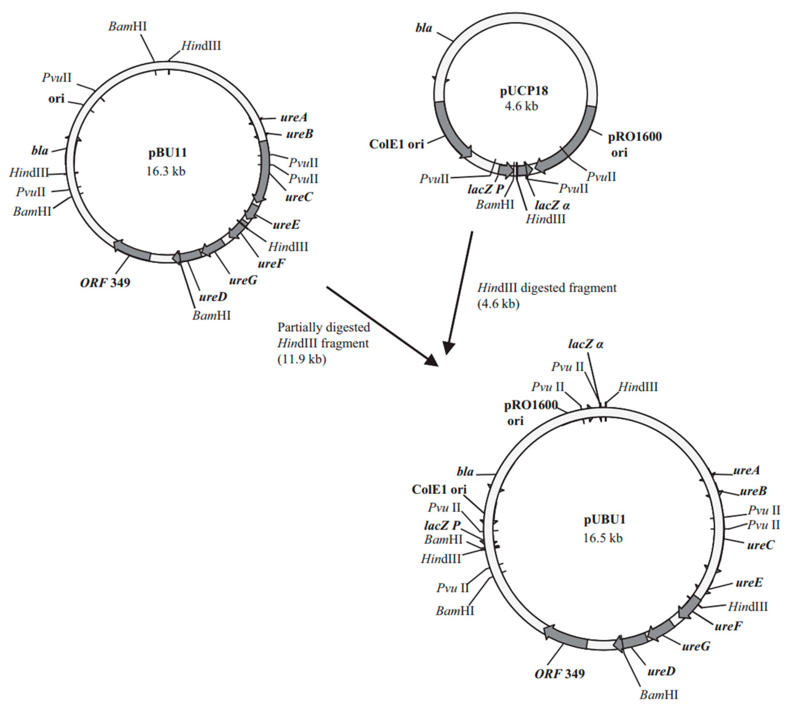 Materials 17 05420 g007