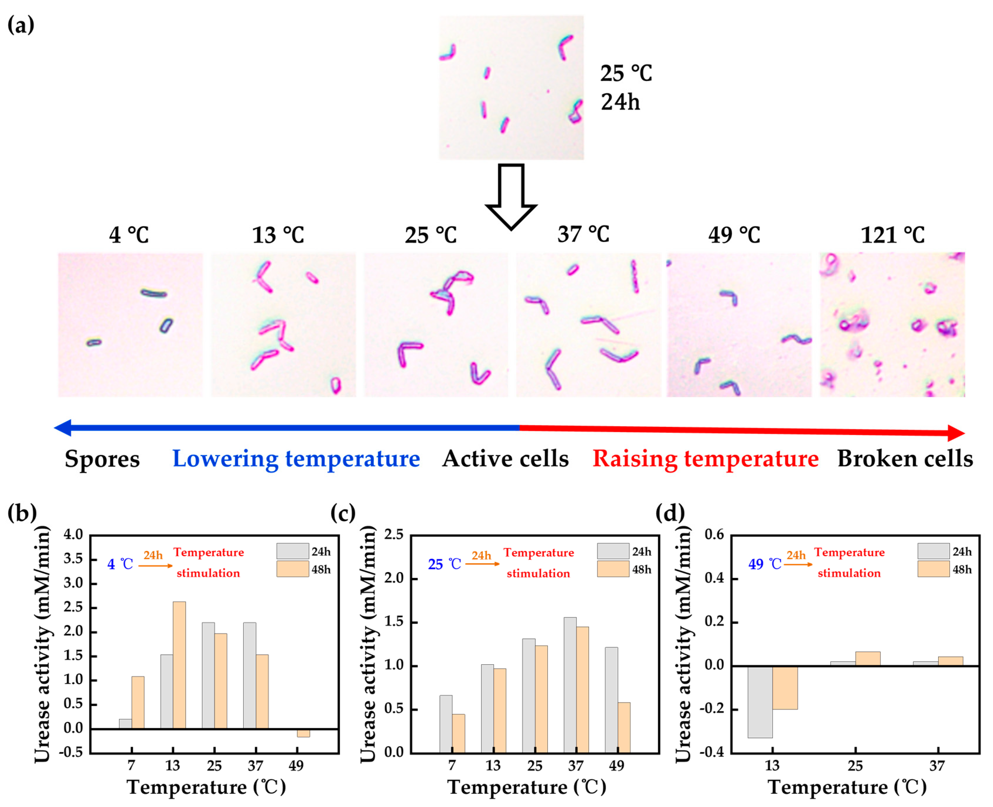 Materials 17 05420 g012