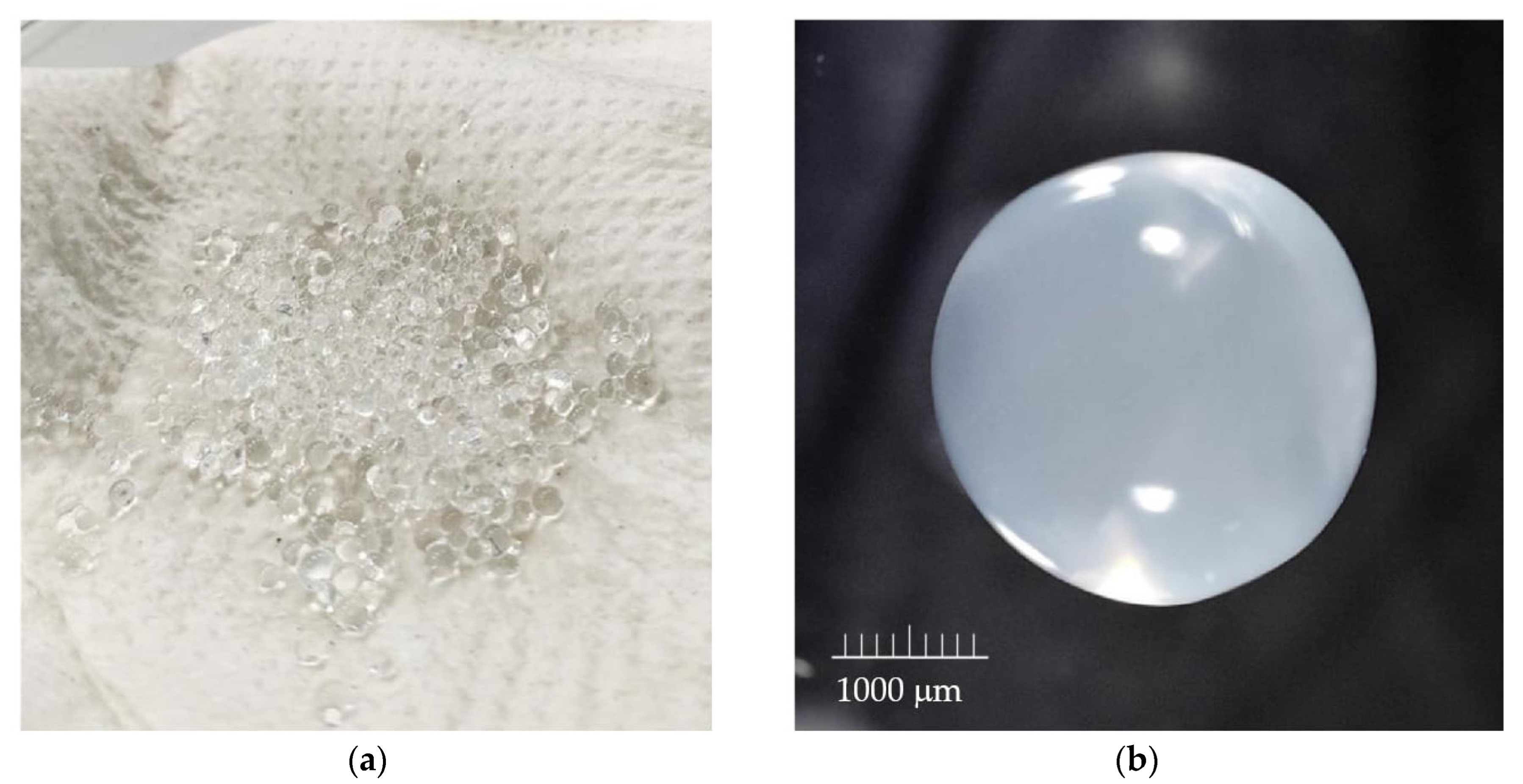 Materials 17 05424 g001