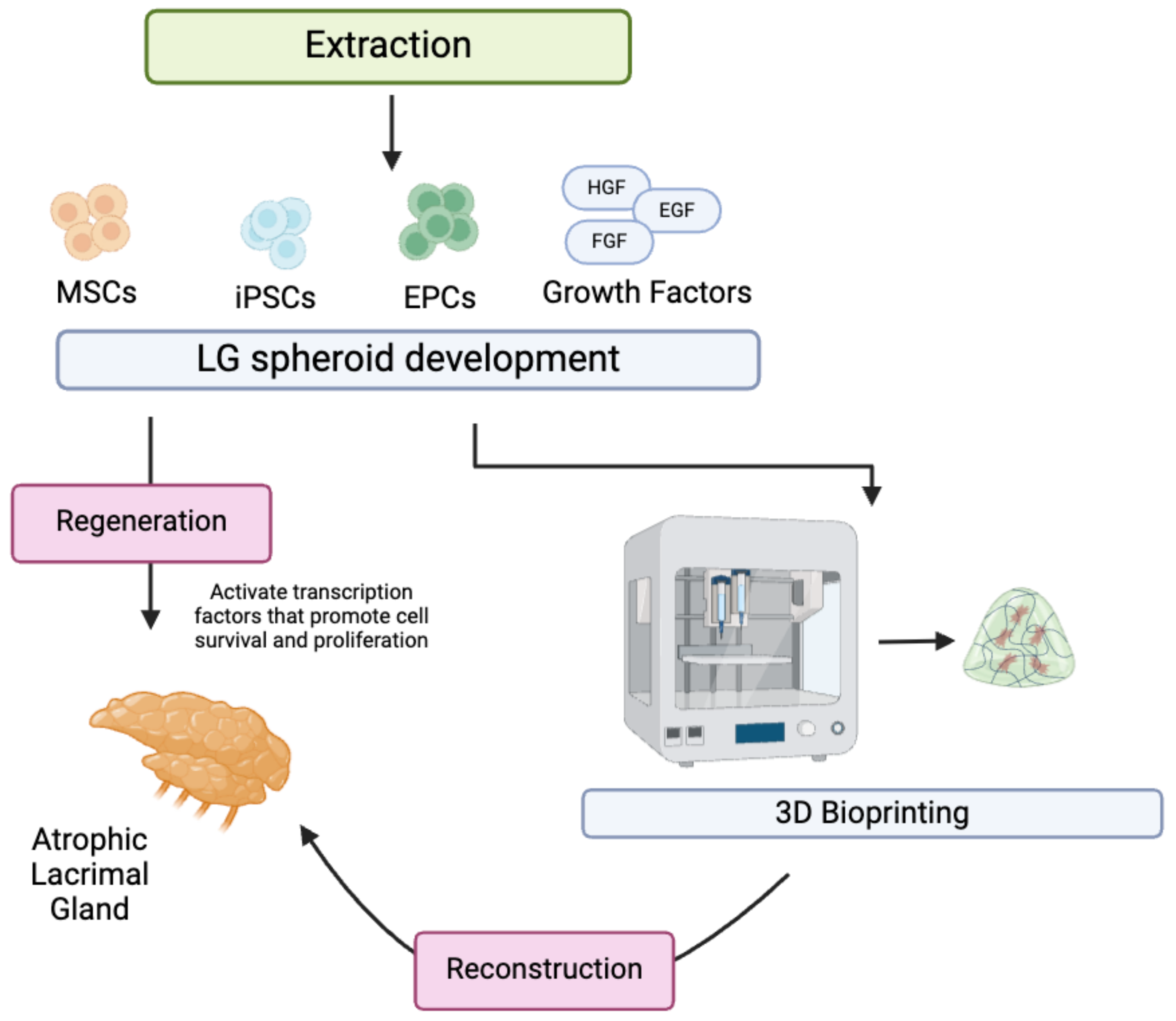 Materials 17 05425 g002