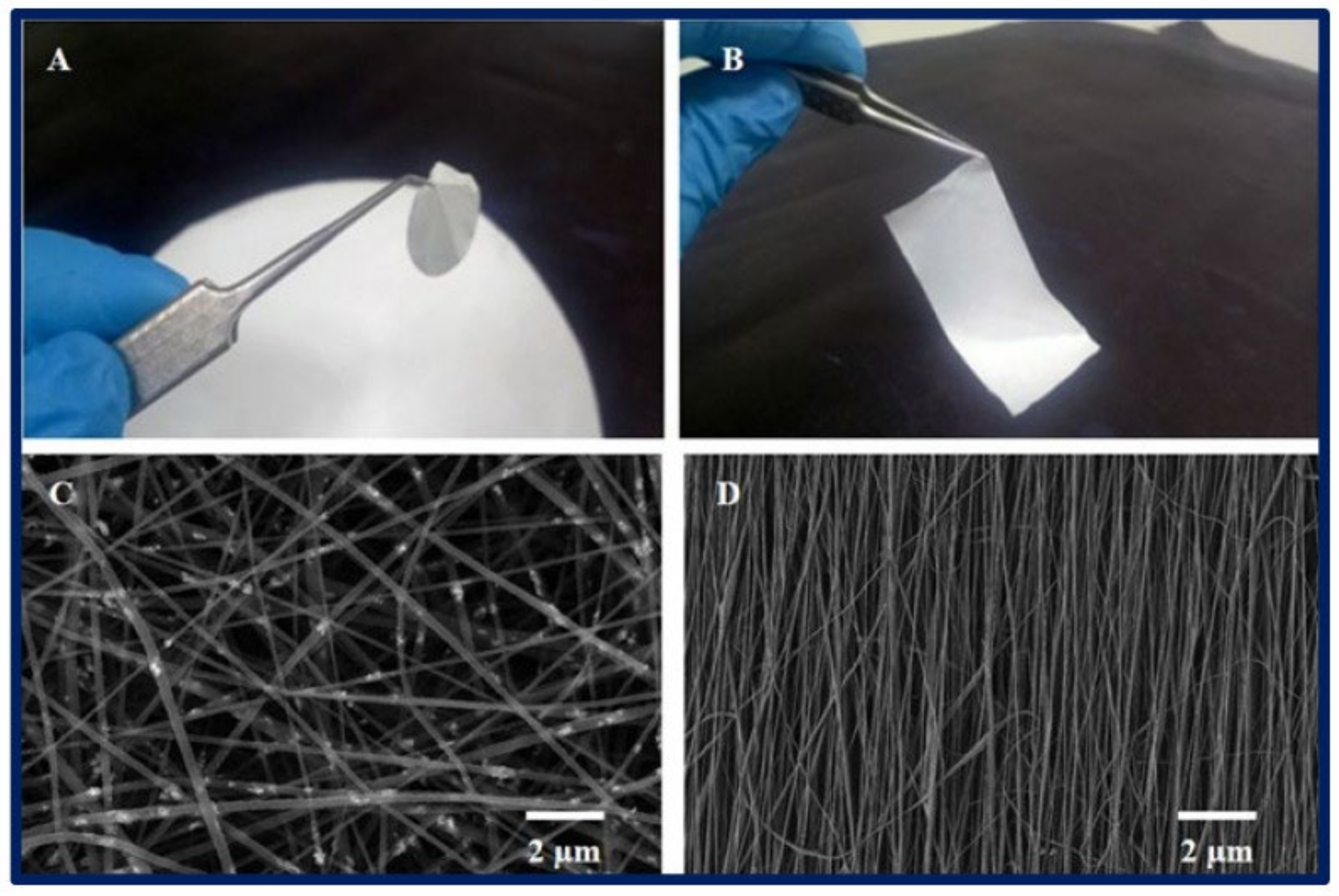 Materials 17 05425 g004