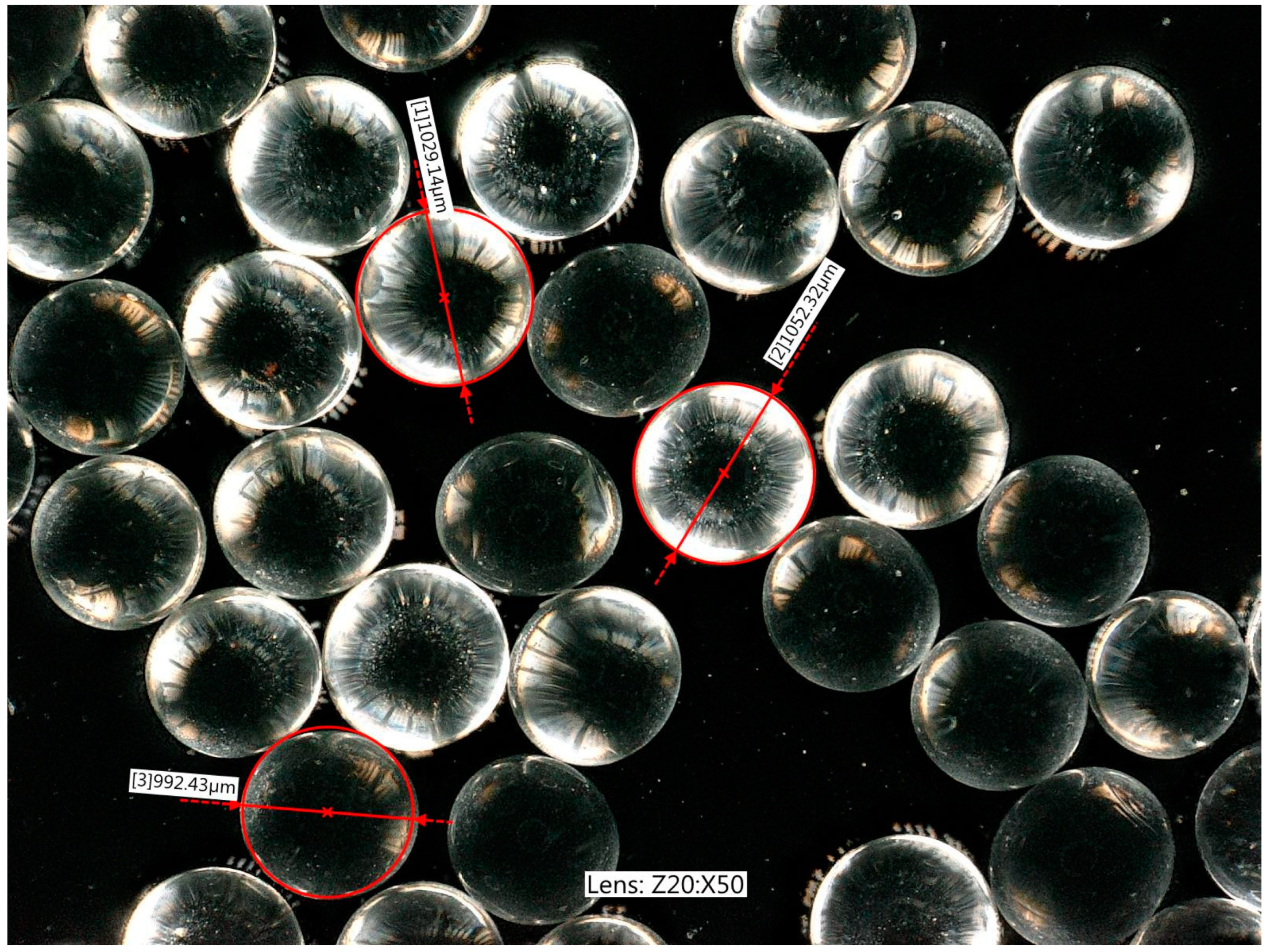 Materials 17 05479 g007