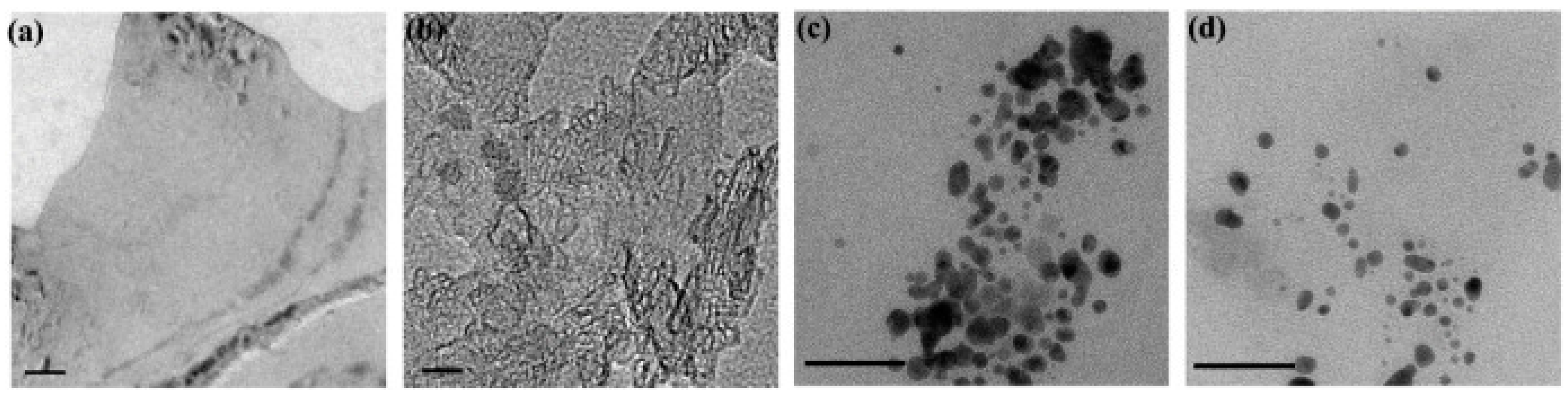 Materials 17 05488 g014