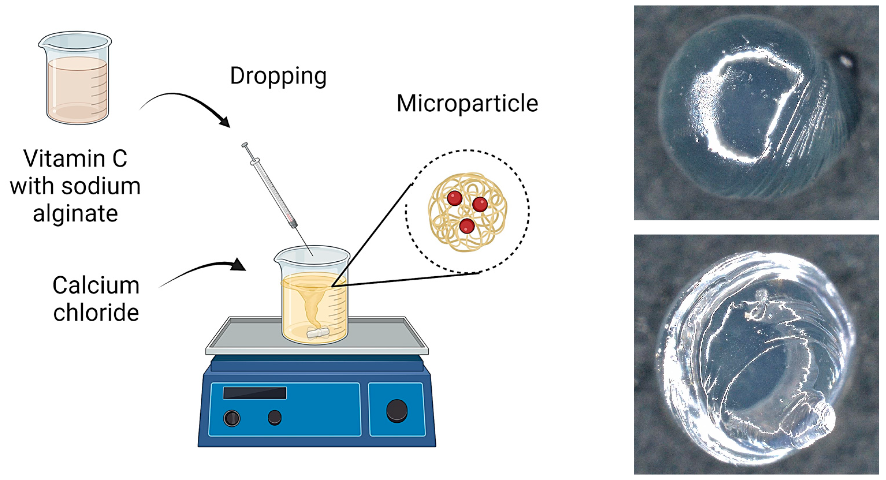 Materials 17 05502 g001
