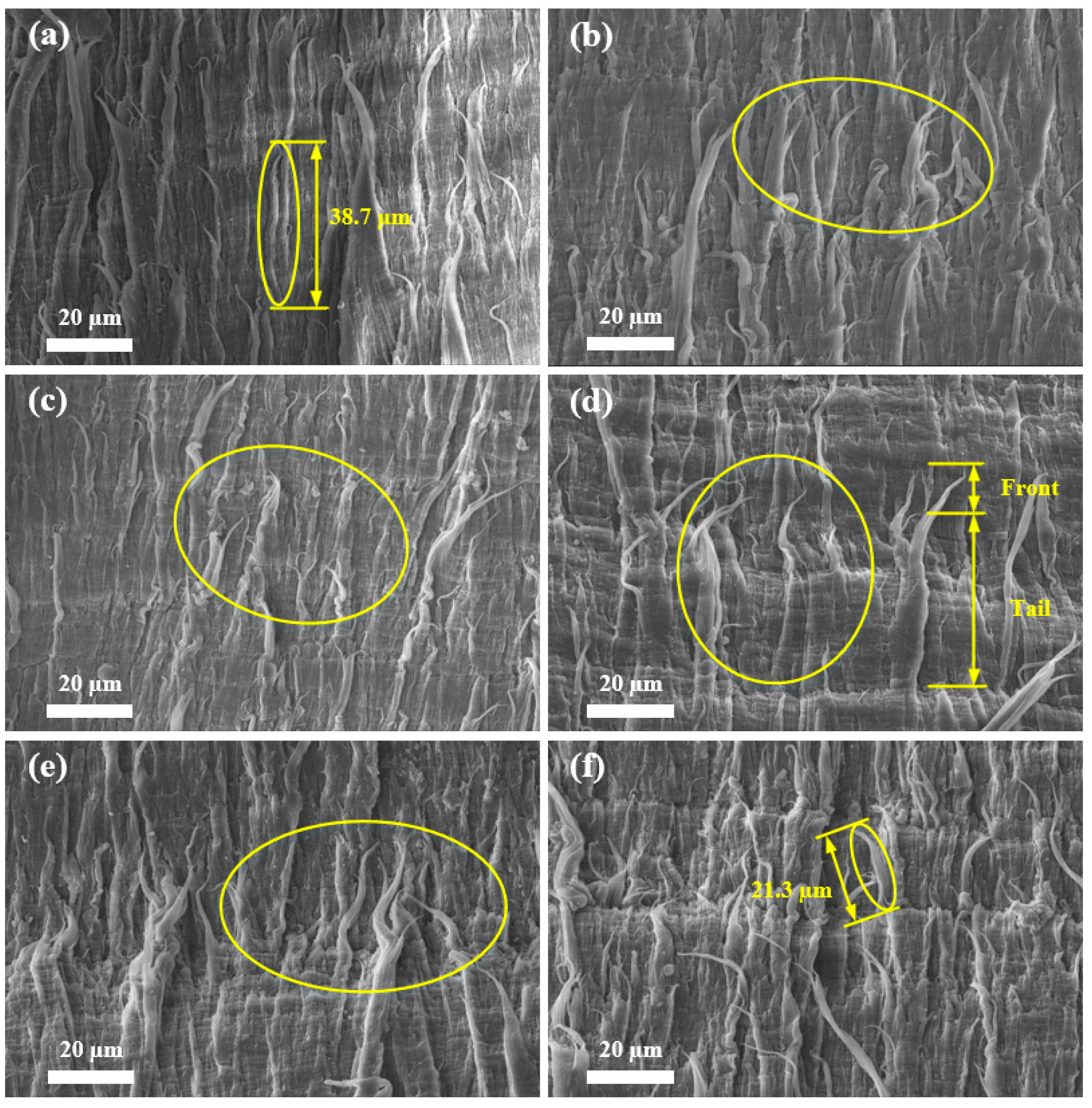 Materials 17 05505 g005