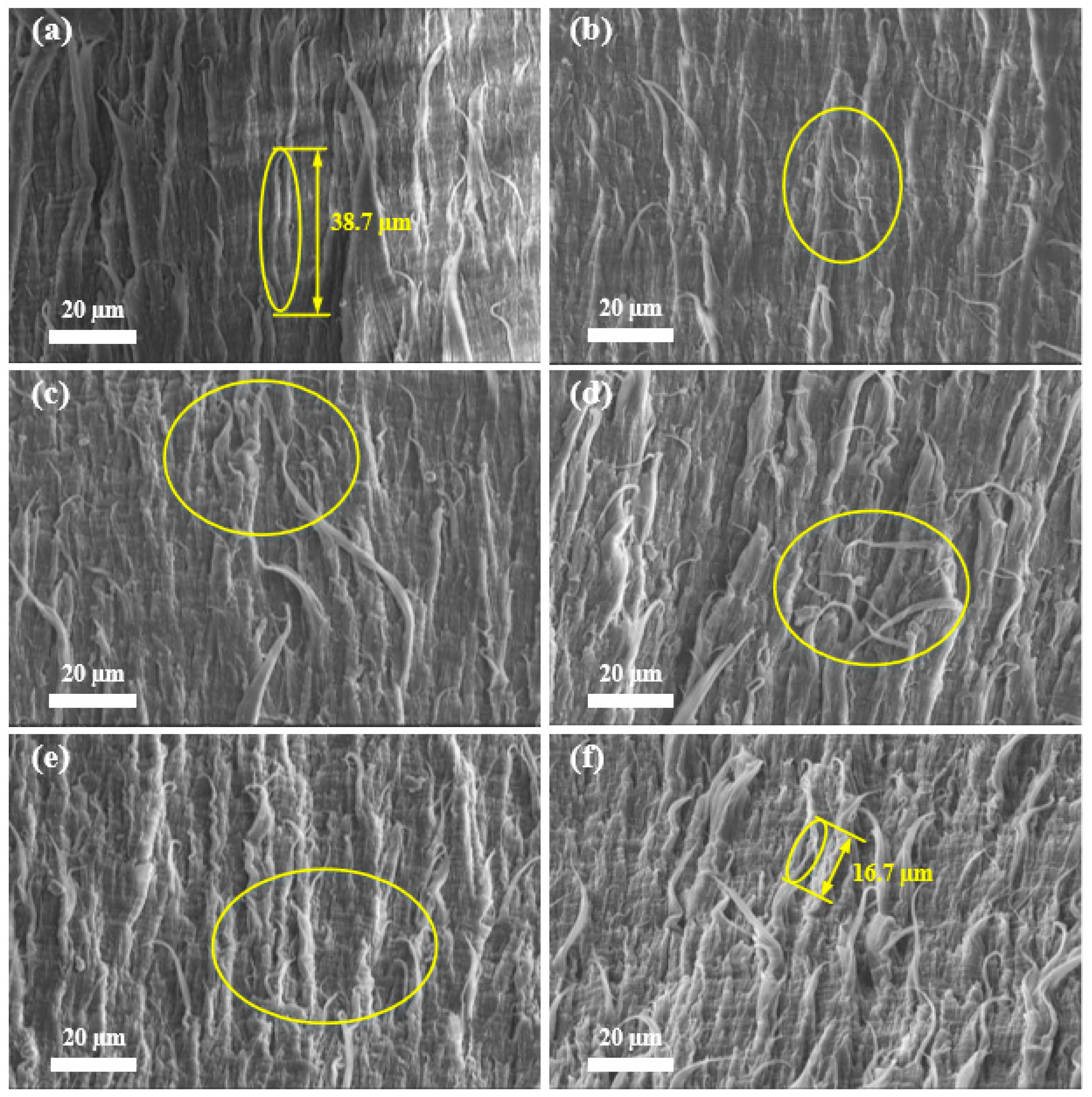 Materials 17 05505 g007
