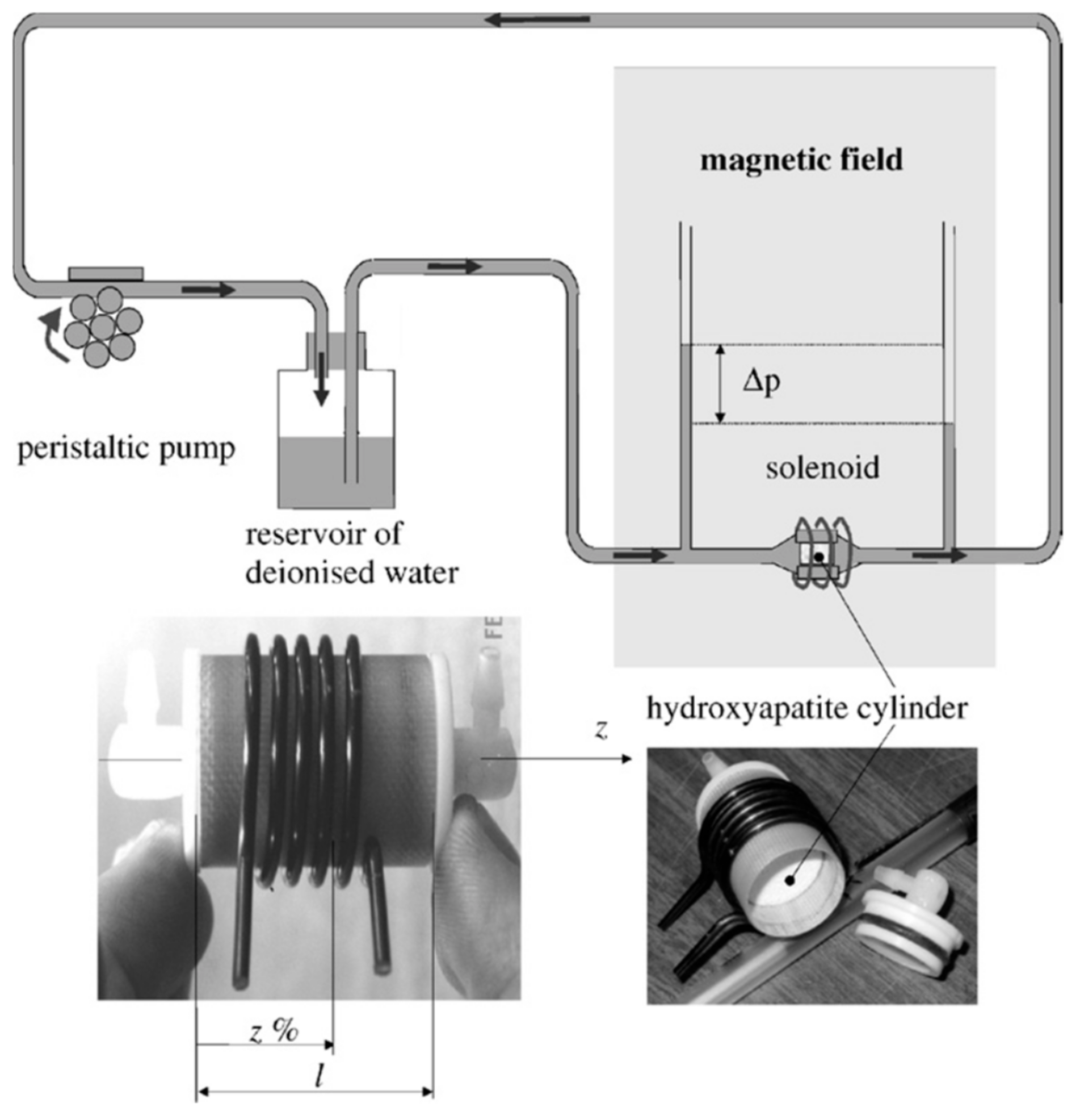 Materials 17 05522 g003