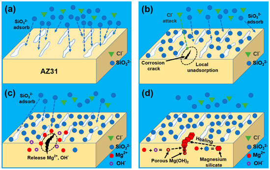 Effect of the Sodium Silicate Inhibitor on the Corrosion Effect of the Sodium Silicate Inhibitor on the Corrosion
