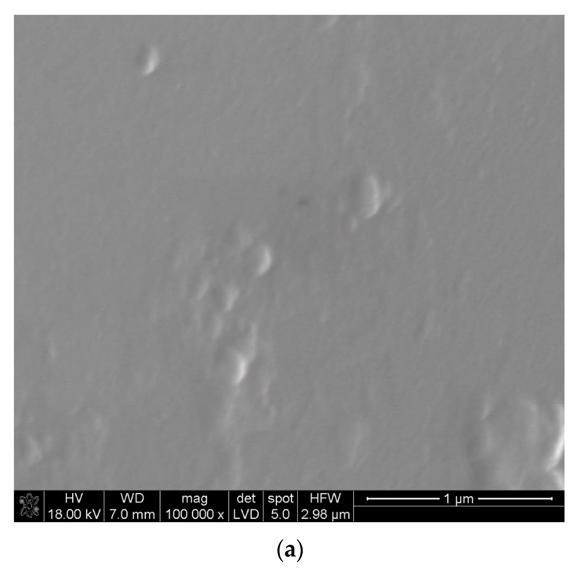 Materials 17 05539 g001a