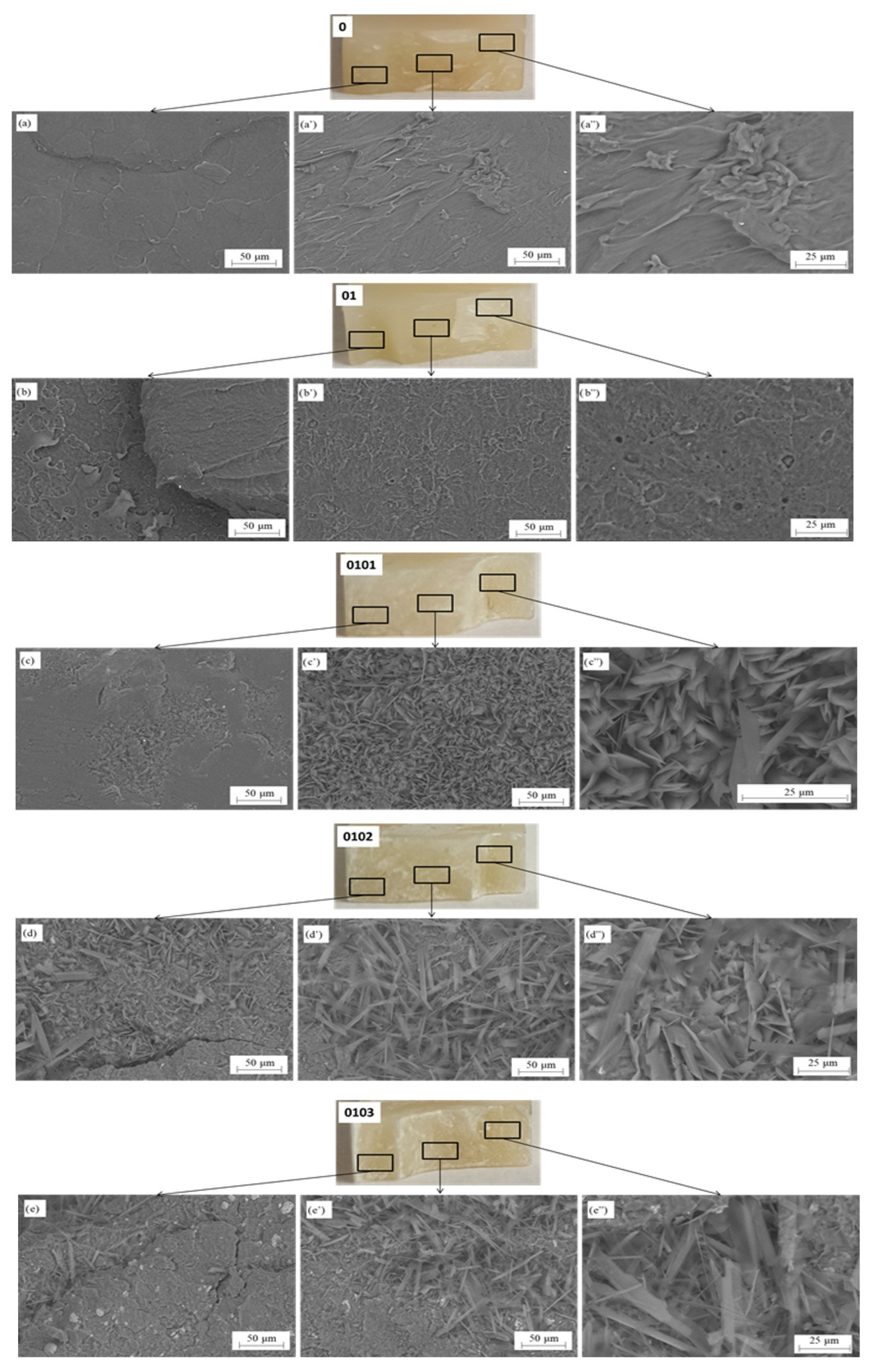 Materials 17 05542 g007