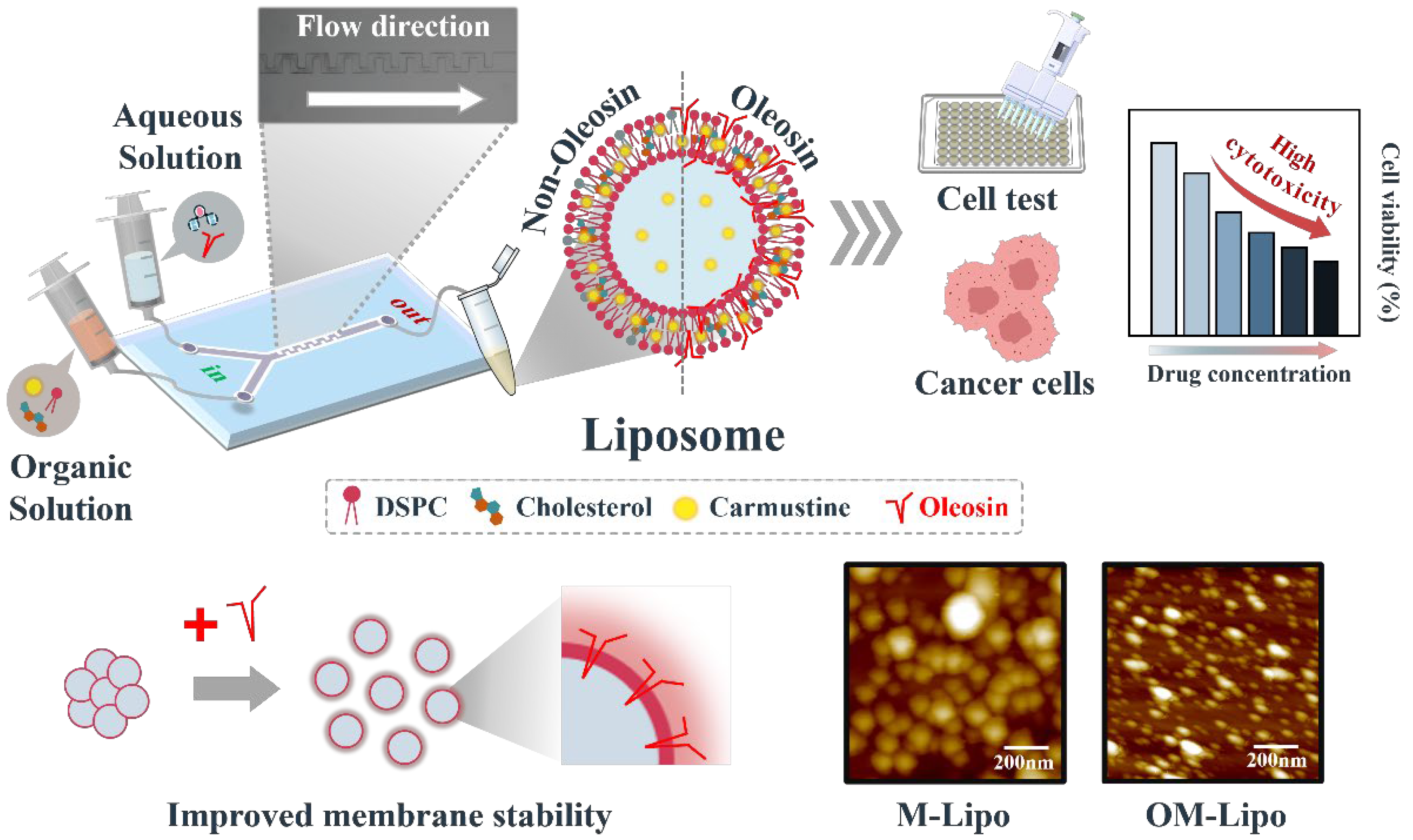 Materials 17 05550 g001