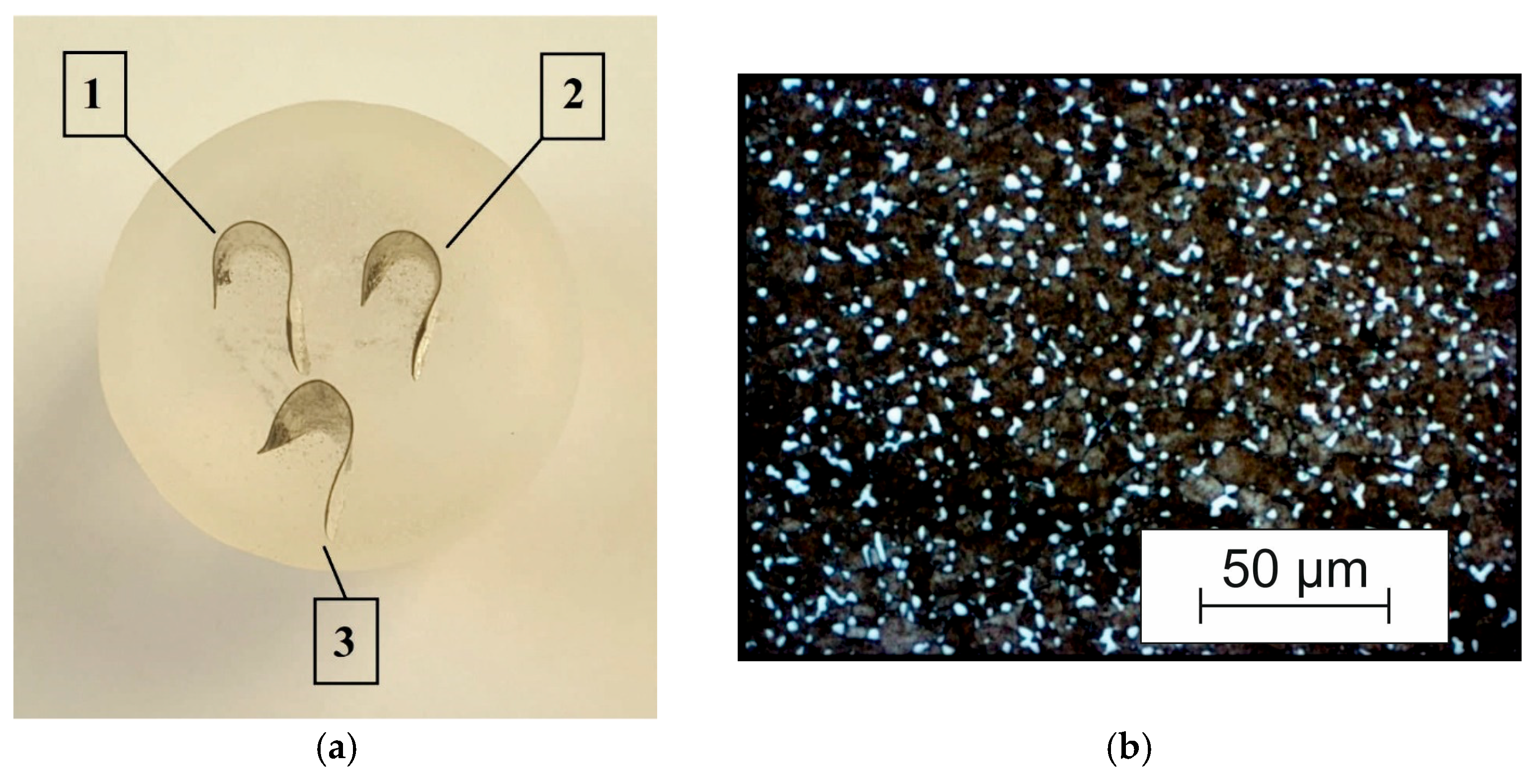 Materials 17 05569 g002