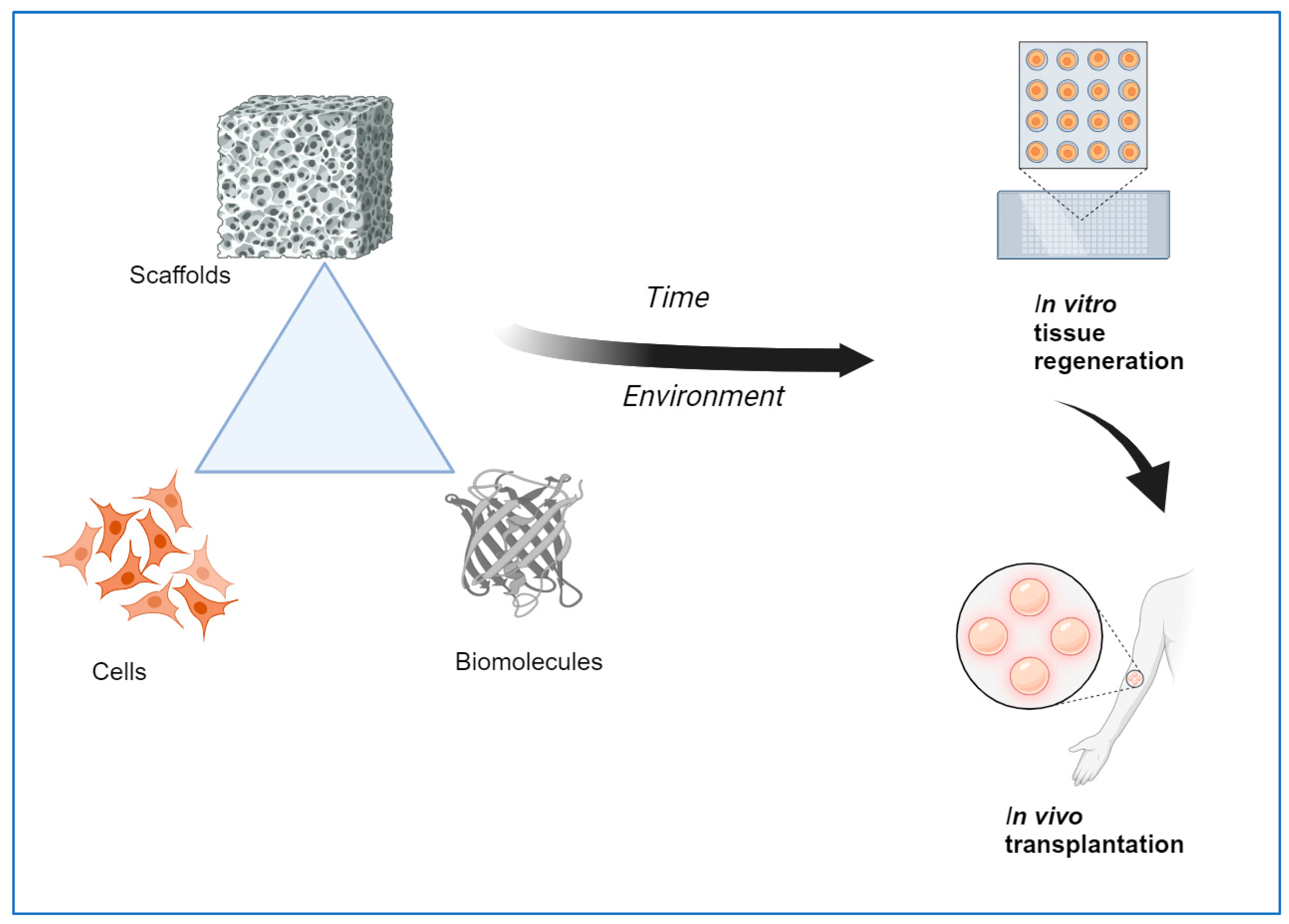 医学書　Biomaterials for Tissue Engineering Three-Dimensional Bioprinting in Soft Tissue Engineering for