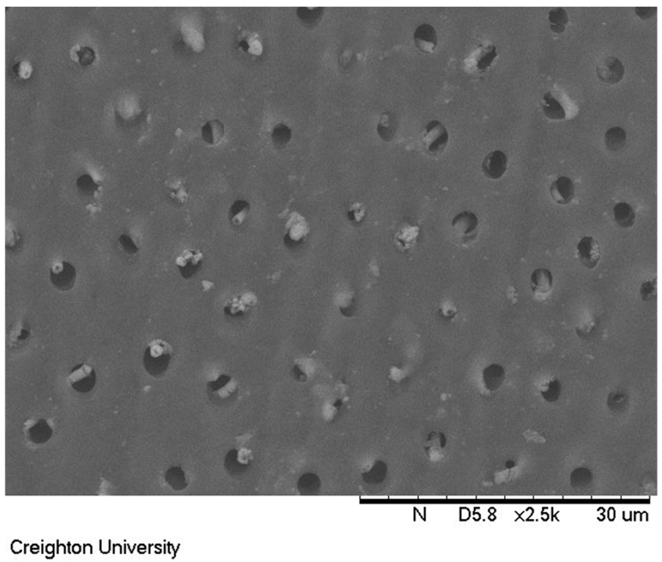 substantive-dimethicone-based-mucoadhesive-coatings