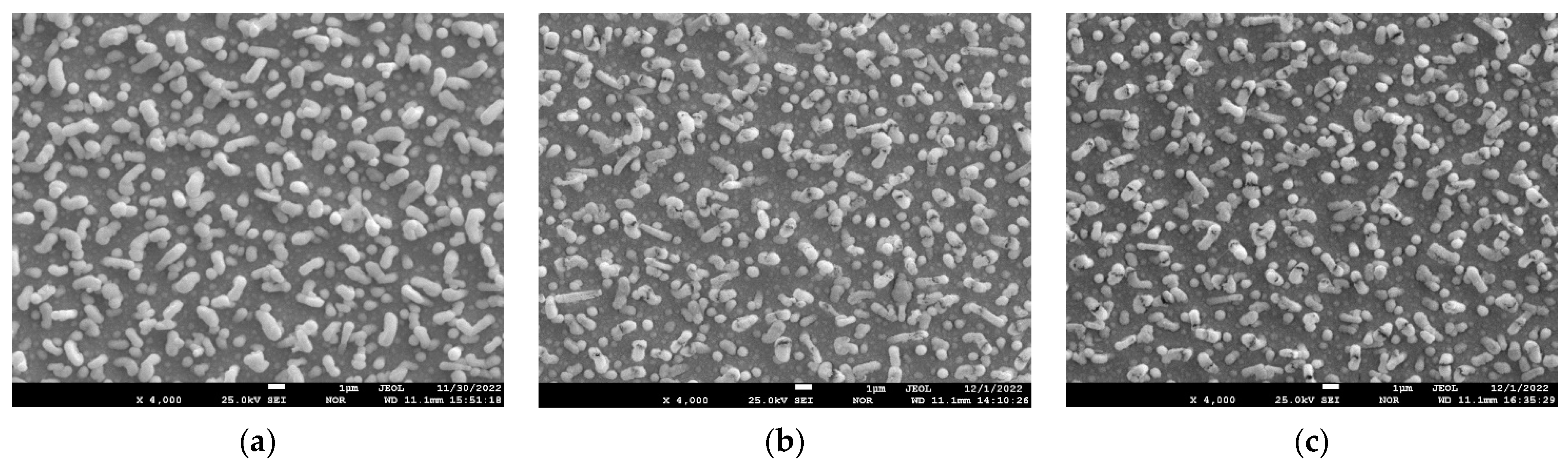 Materials 17 05591 g007