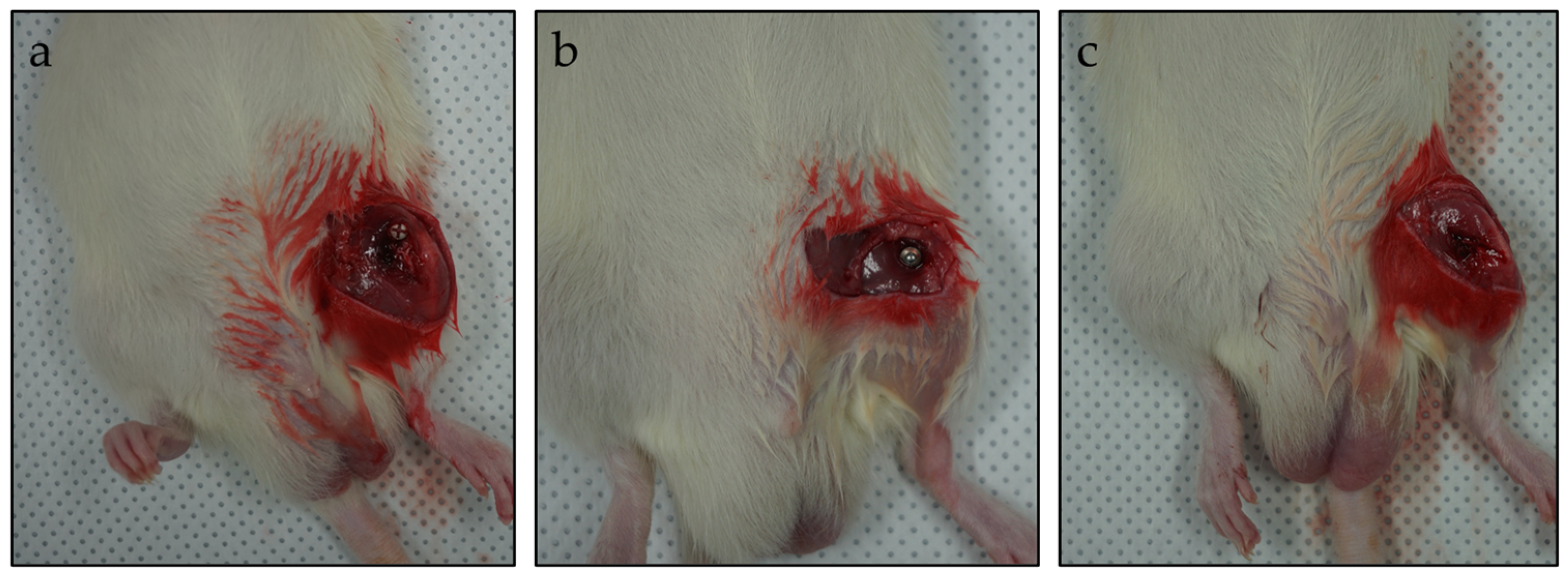 Materials 17 05632 g001