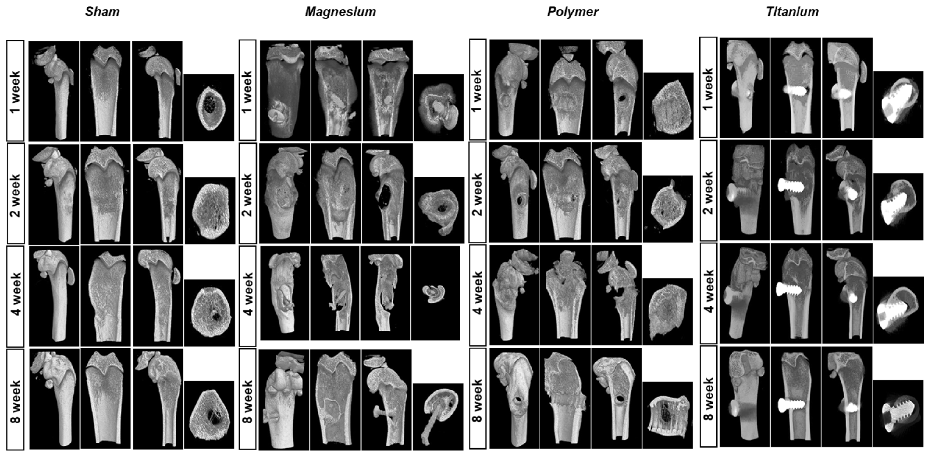 Materials 17 05632 g003