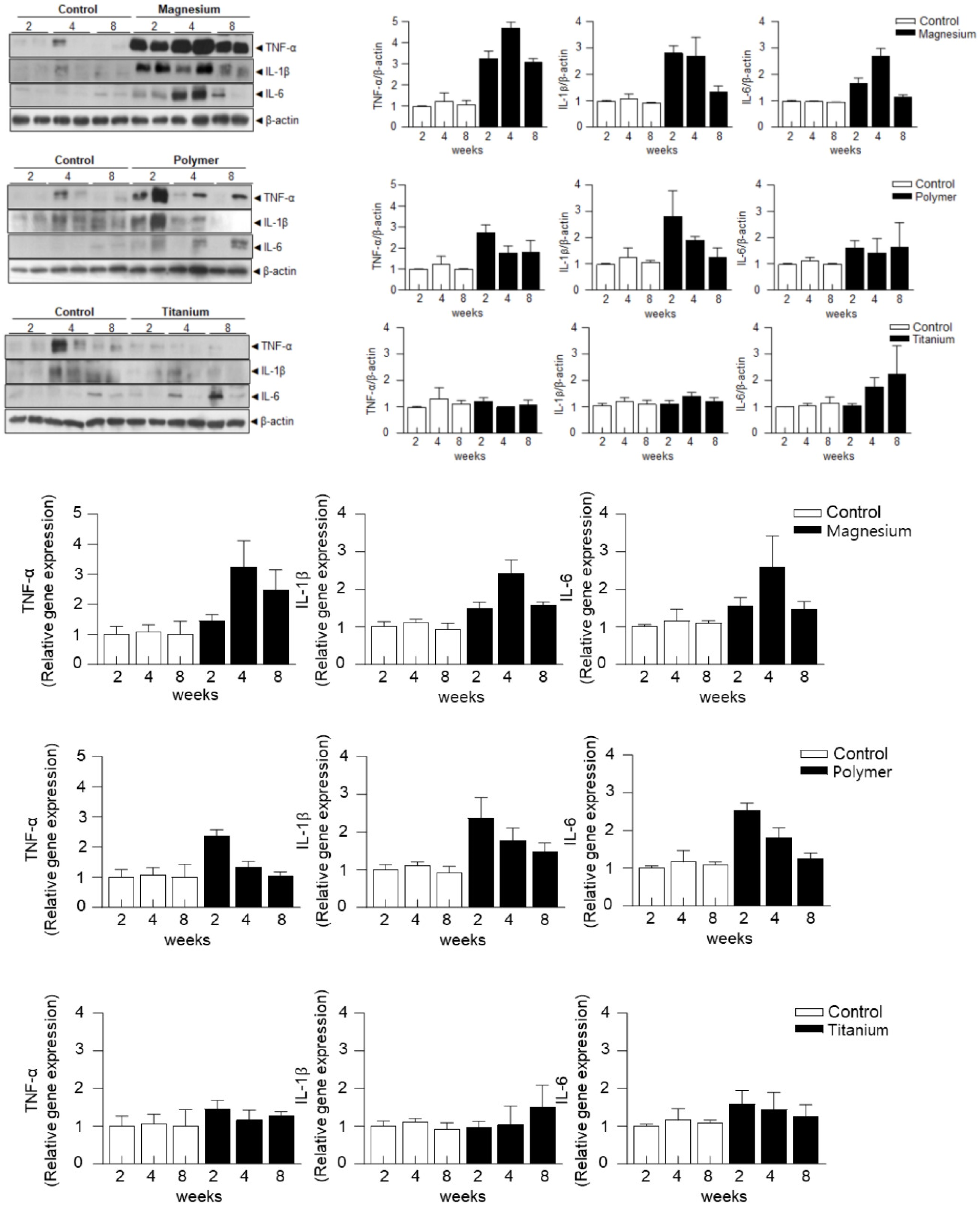 Materials 17 05632 g004