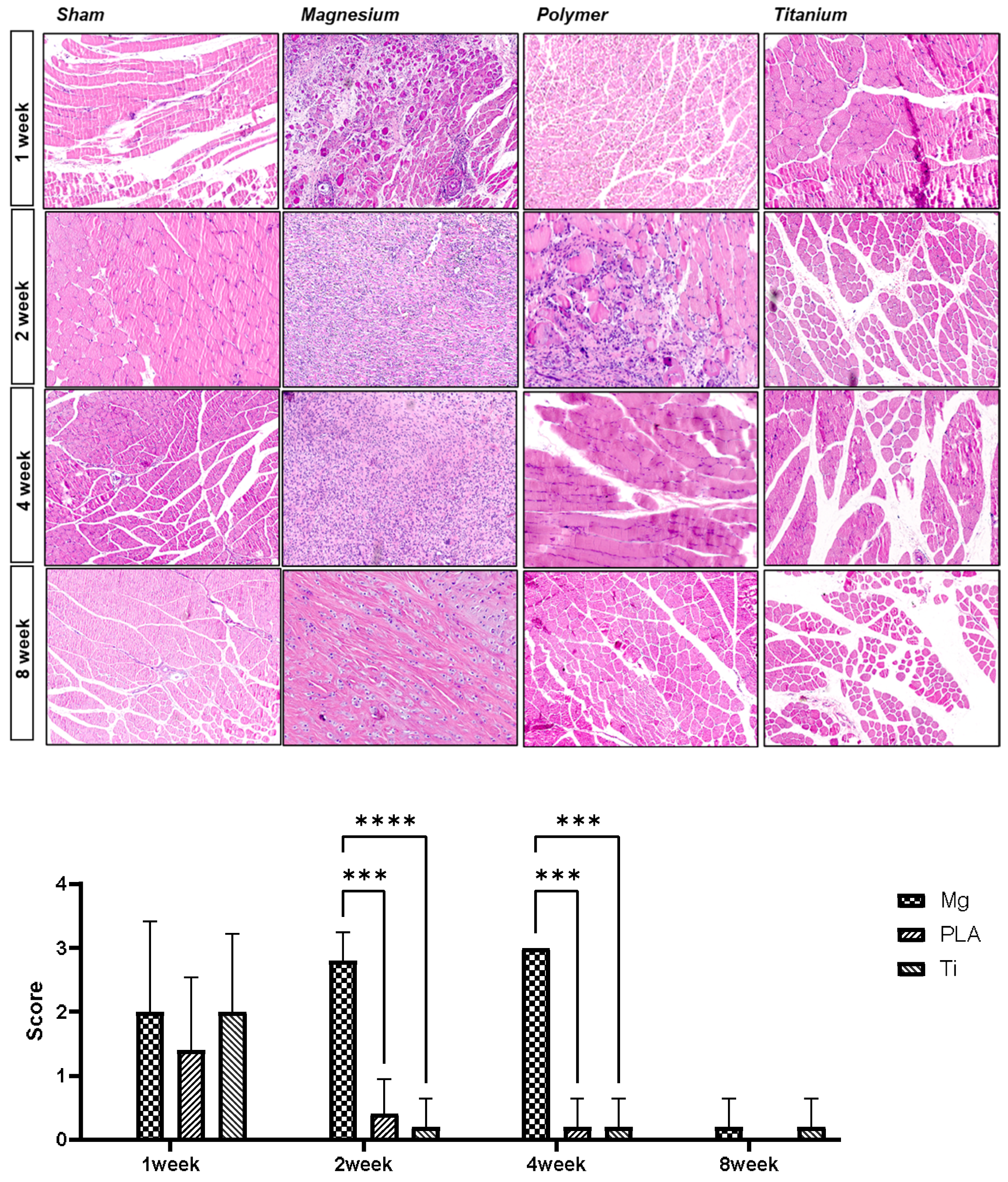 Materials 17 05632 g005
