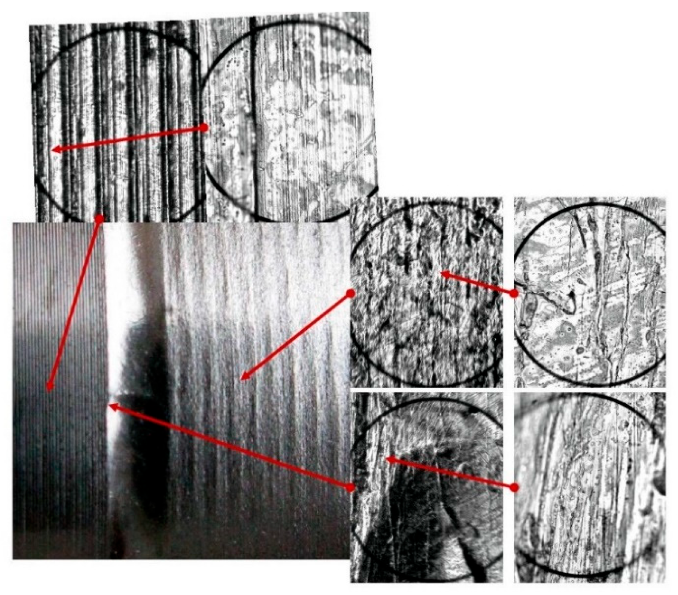 Materials 17 05635 g027