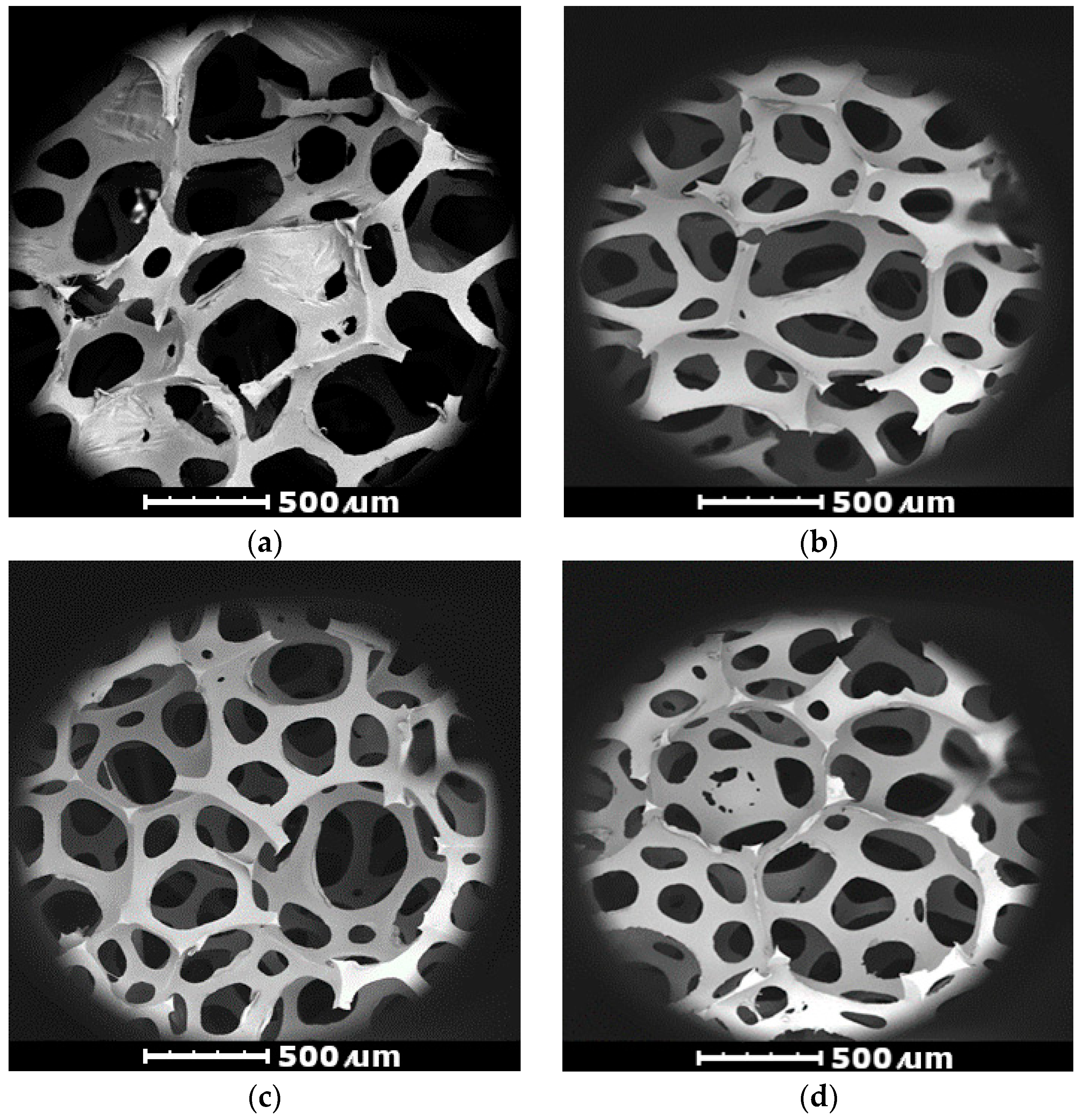 Materials 17 05641 g005