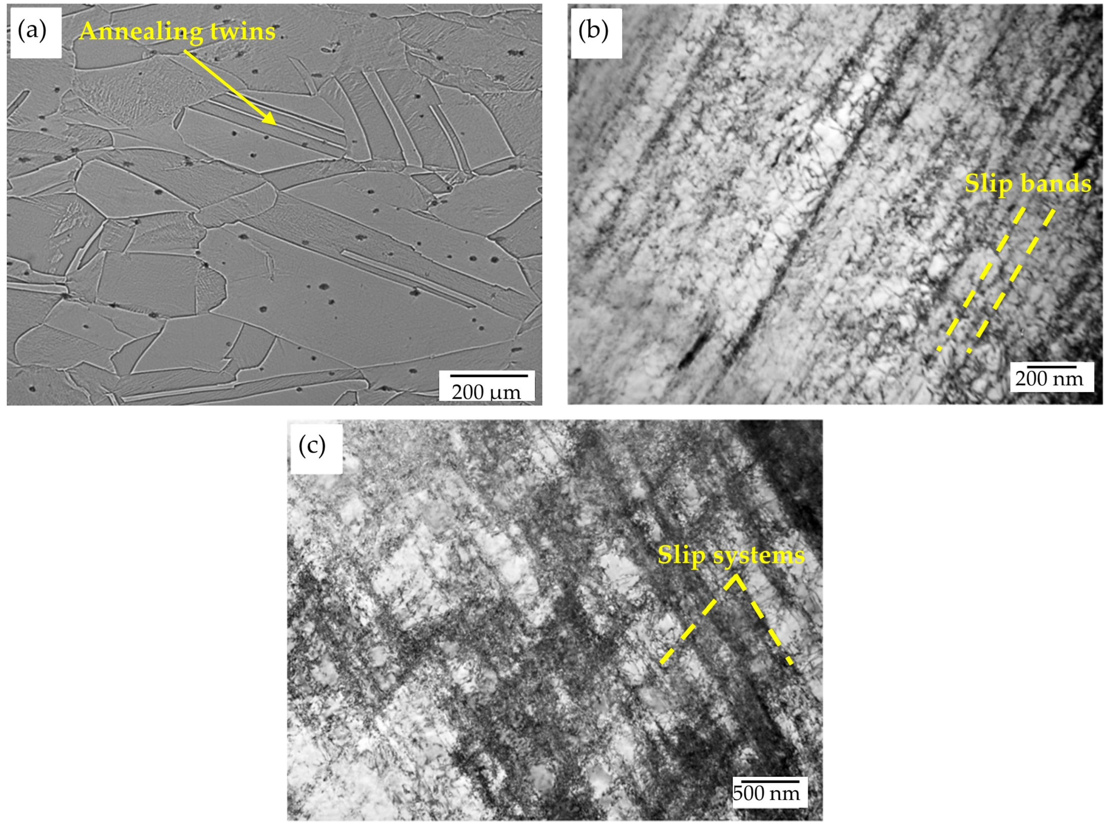 Materials 17 05646 g002