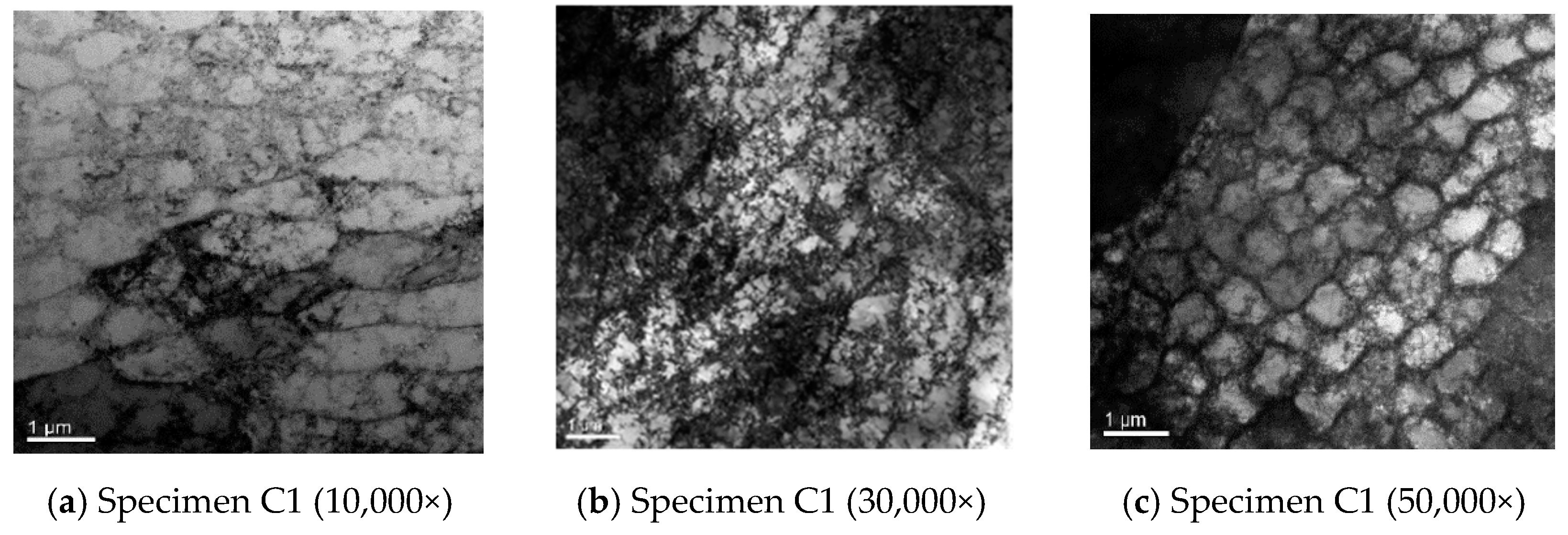 Materials 17 05648 g007