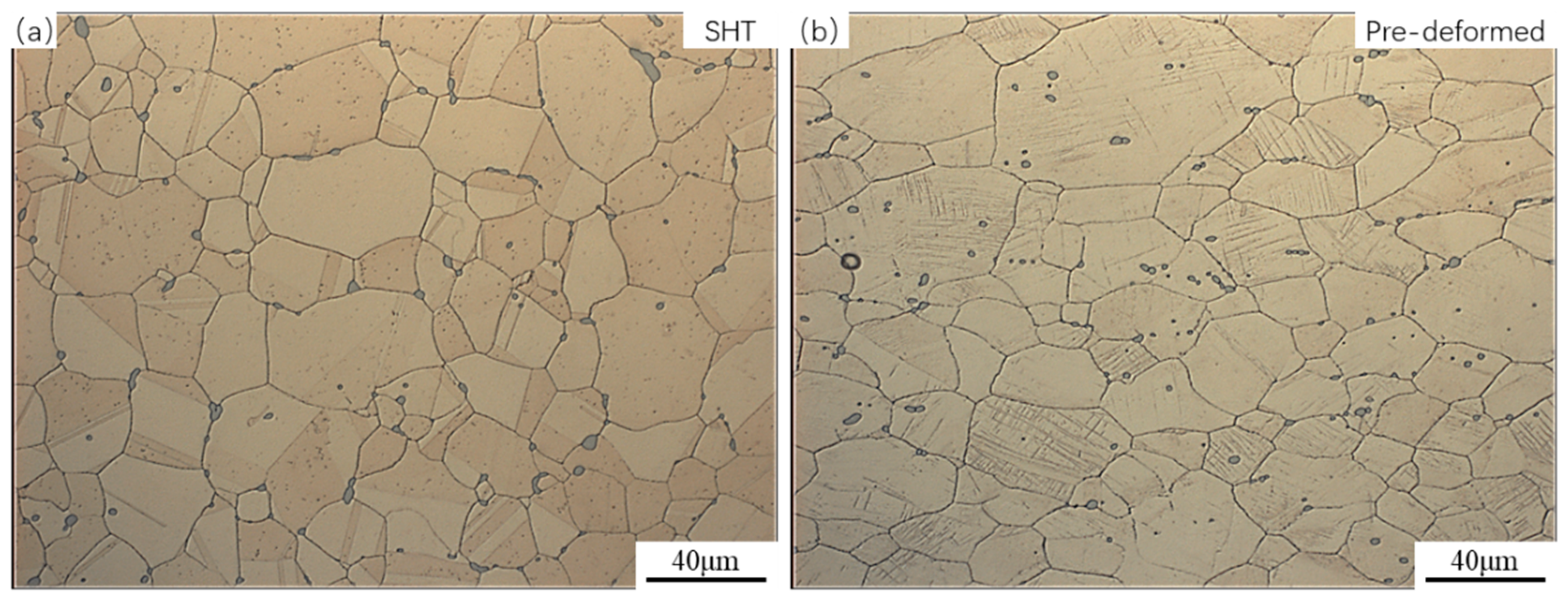 Materials 17 05658 g001 Materials 17 05658 g001