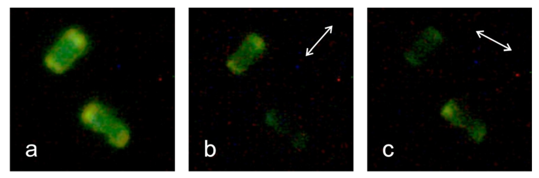 Materials 17 05669 g007