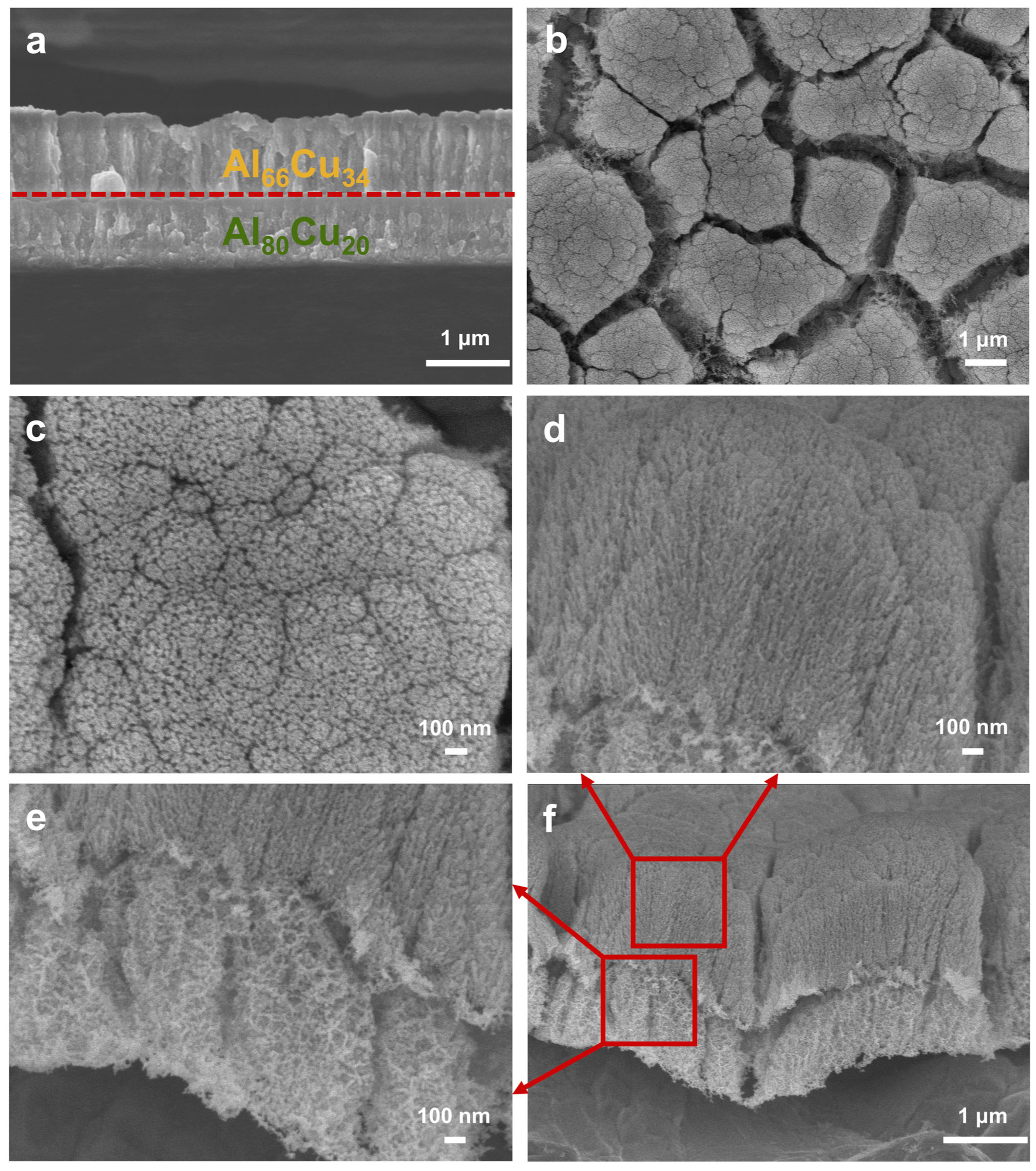 Materials 17 05705 g006