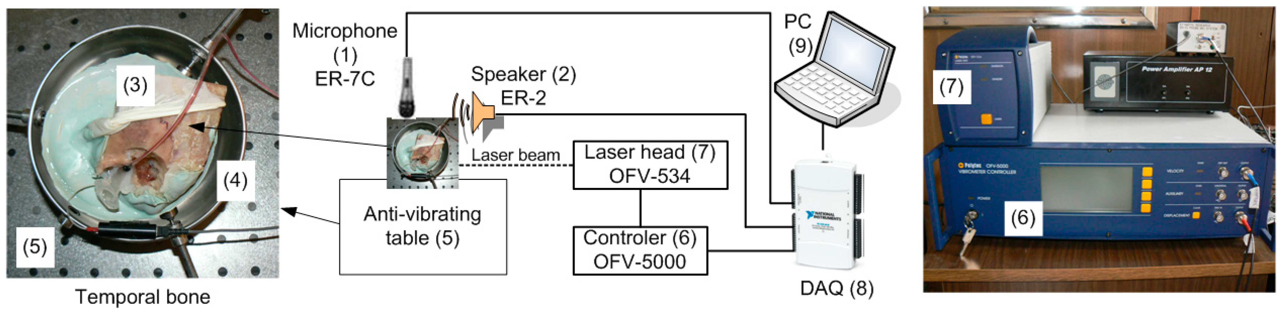 Materials 17 05730 g001