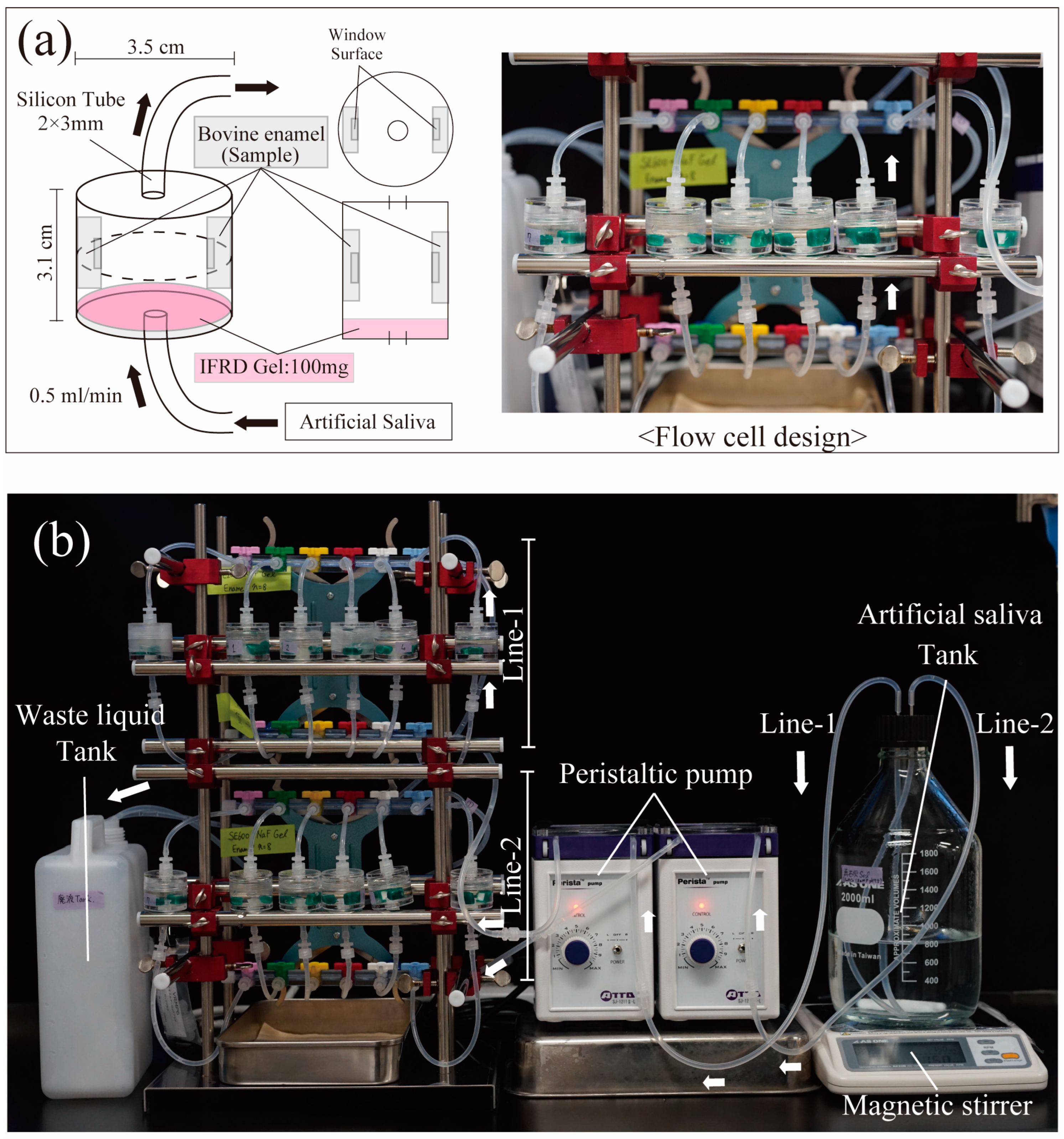 Materials 17 05731 g001
