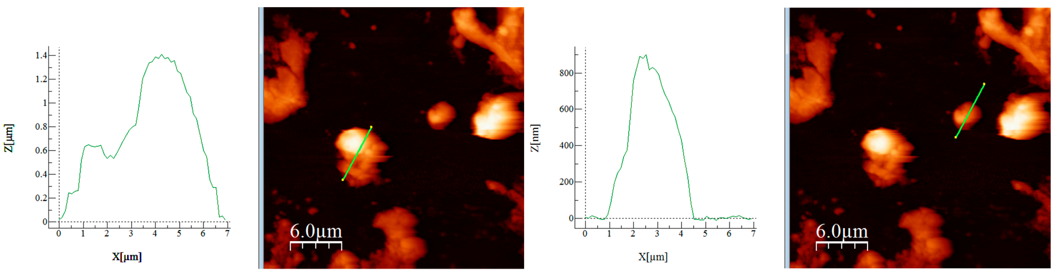 Materials 17 05740 g004