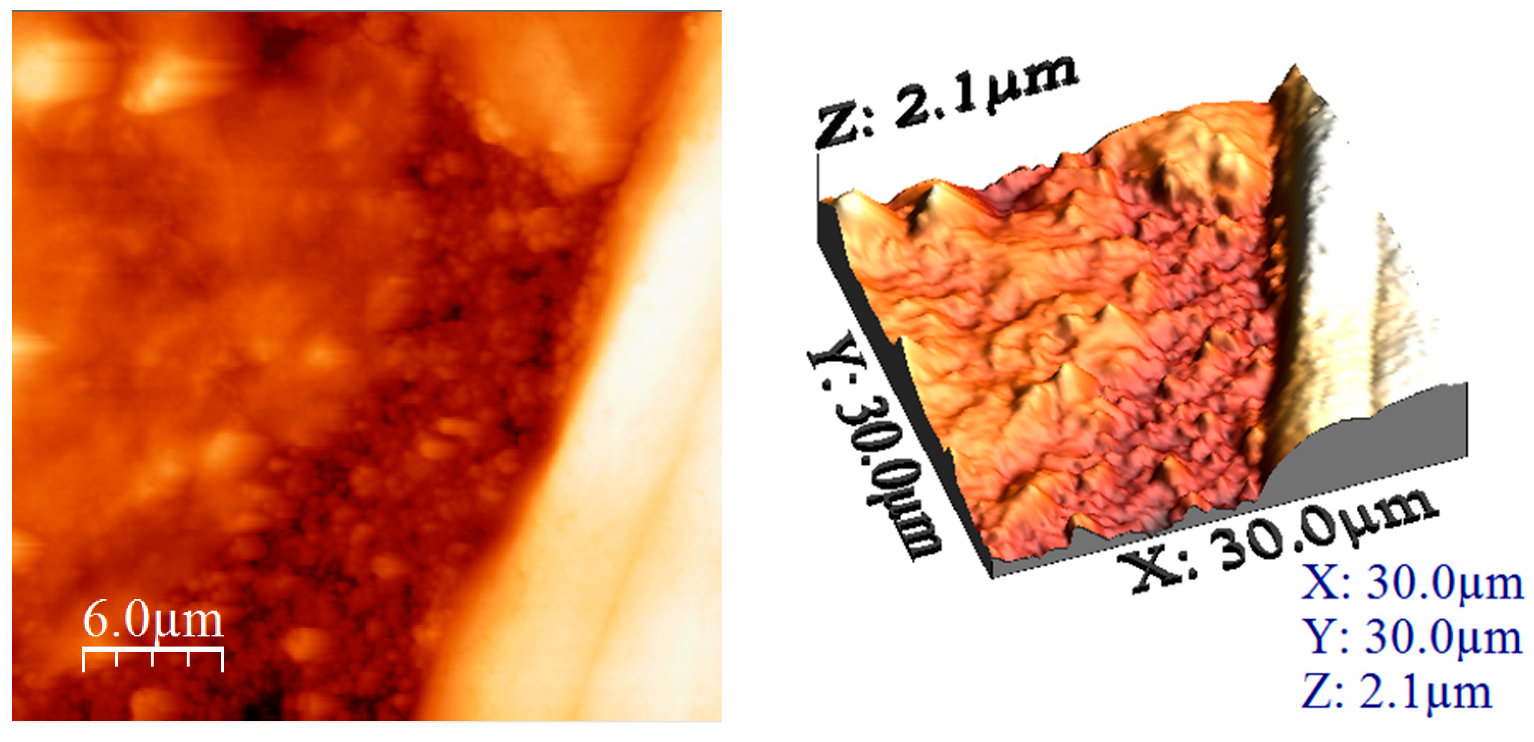 Materials 17 05740 g005