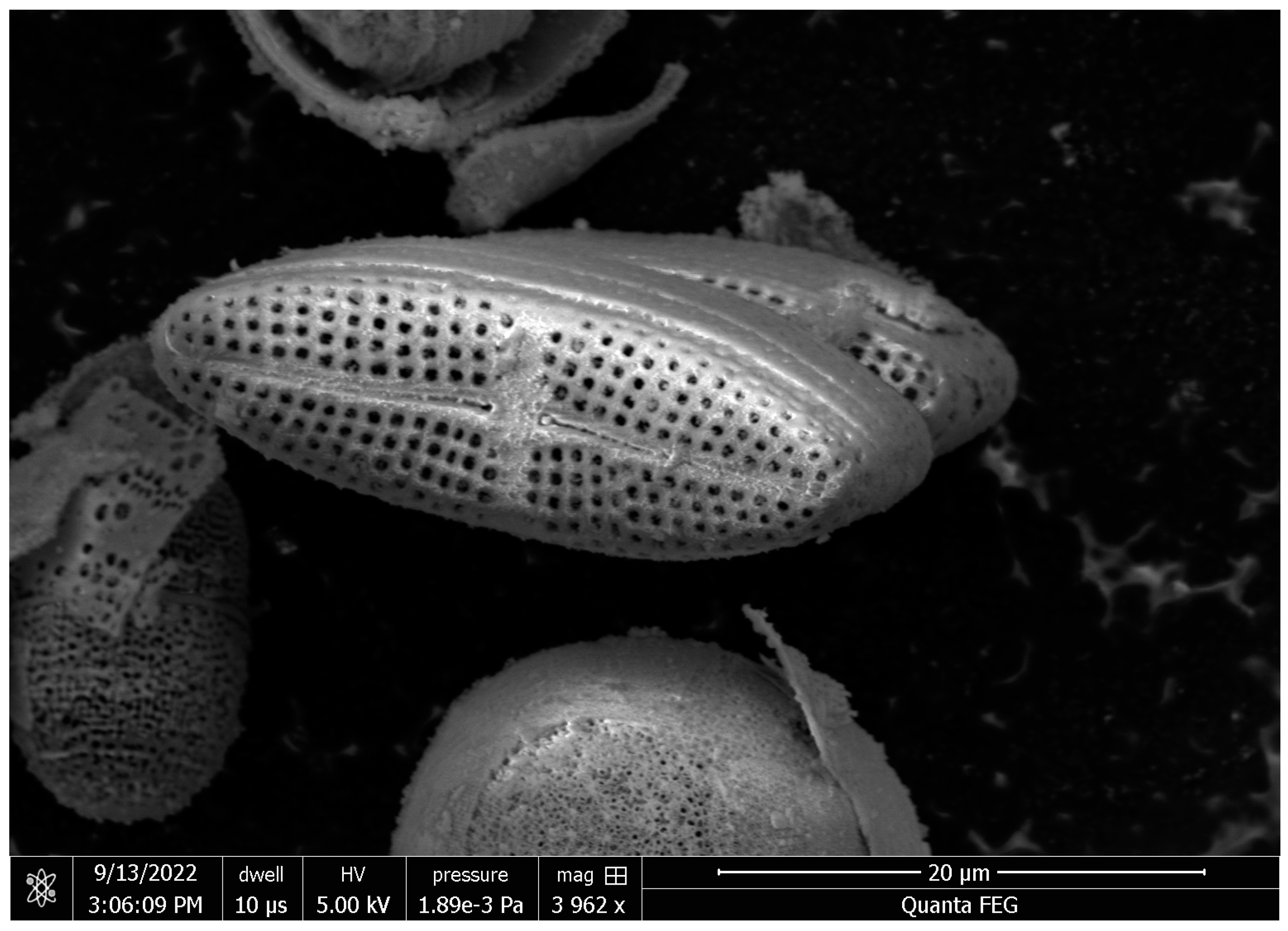 Materials 17 05742 g001