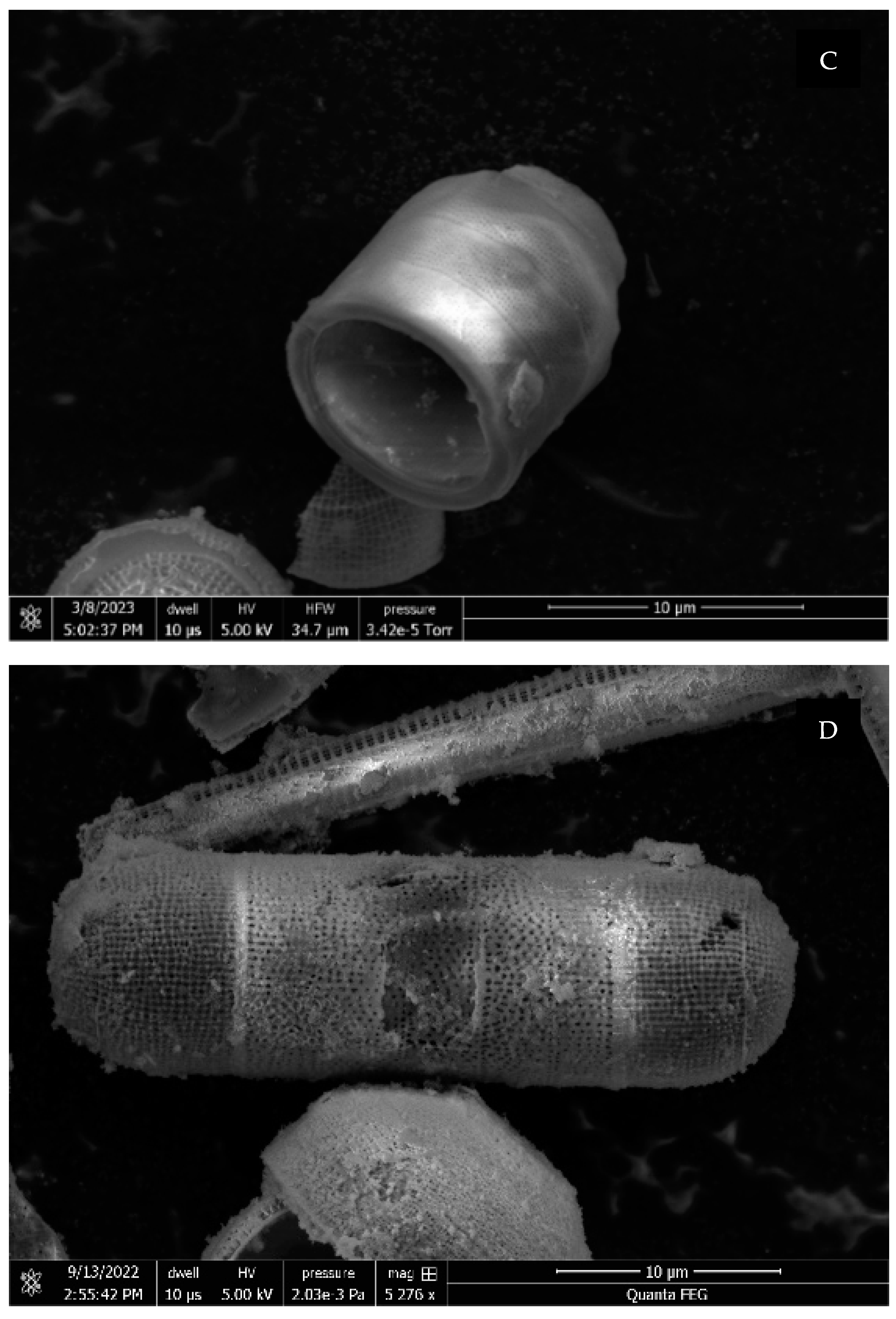 Materials 17 05742 g003b