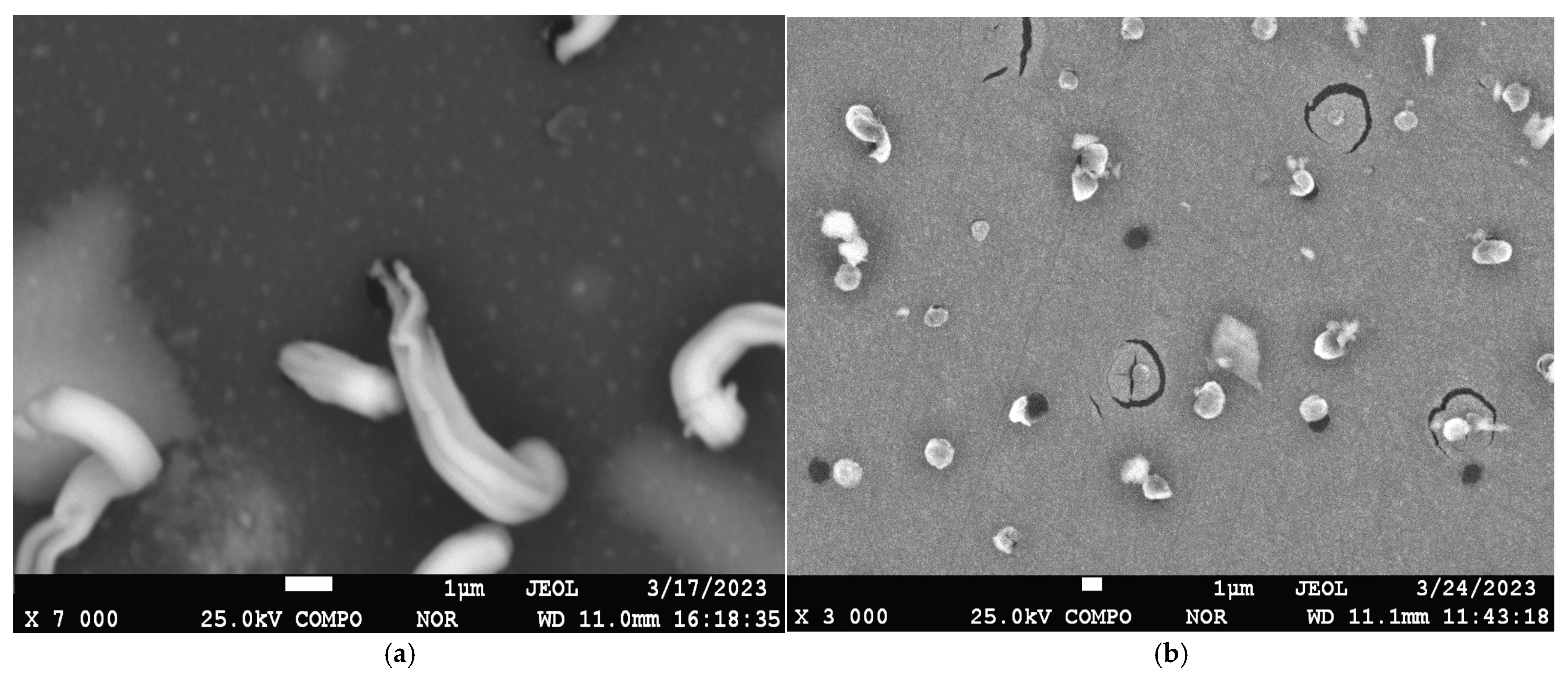 Materials 17 05785 g005