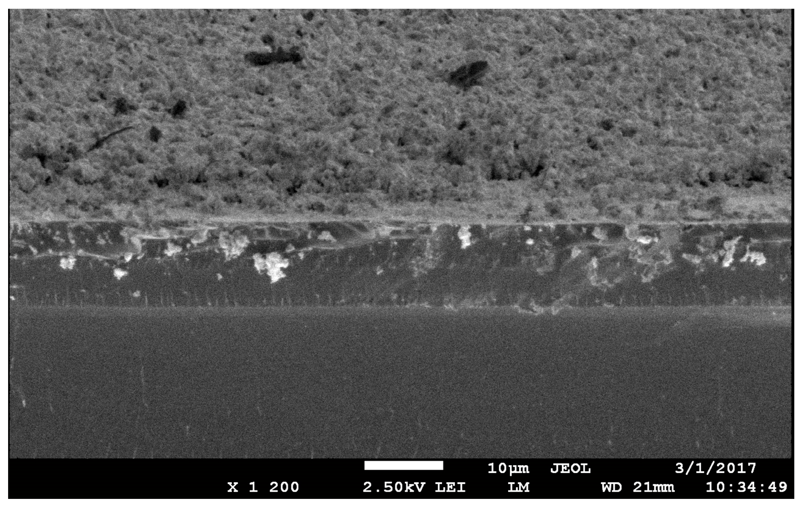 Materials 17 05785 g007